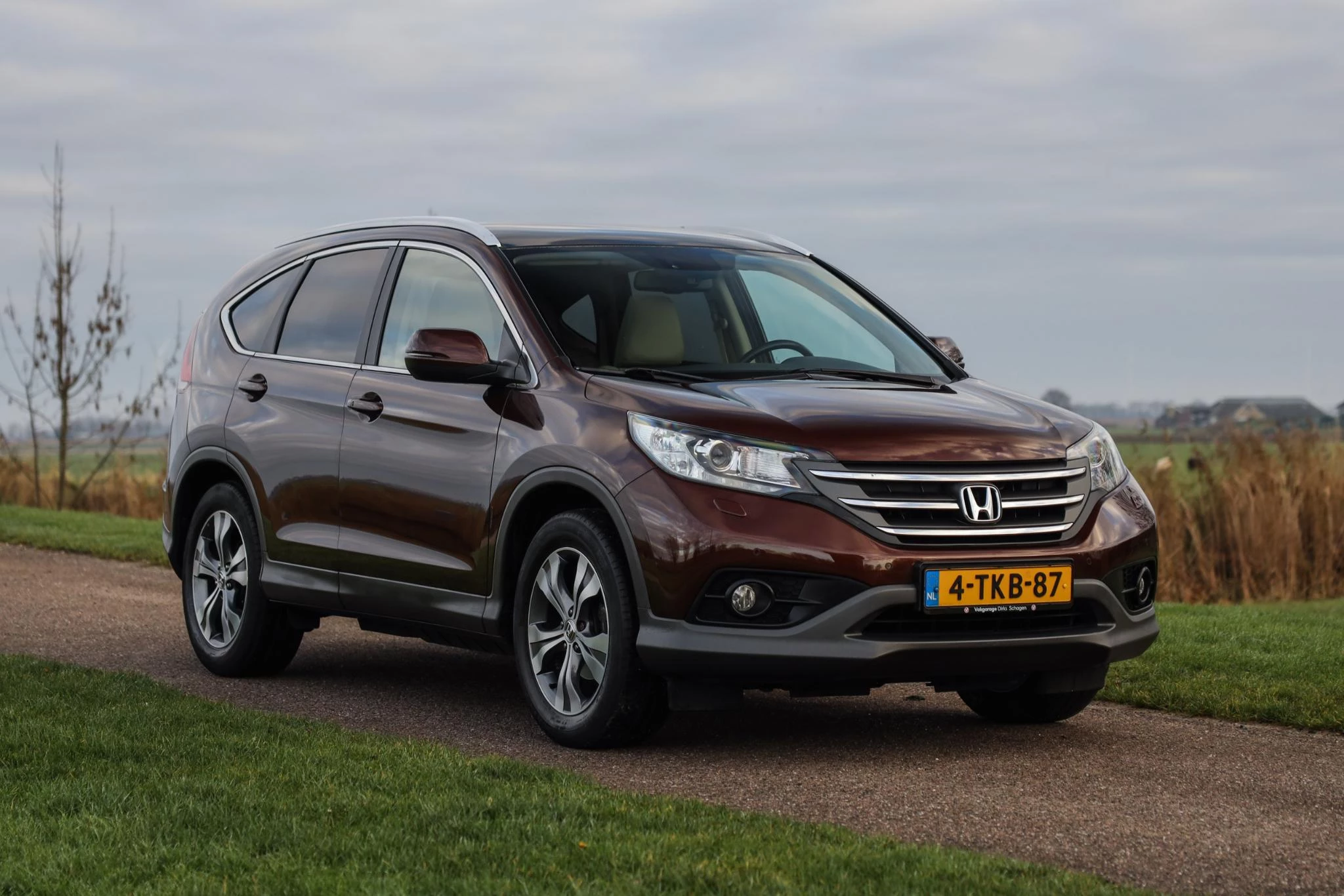 Hoofdafbeelding Honda CR-V