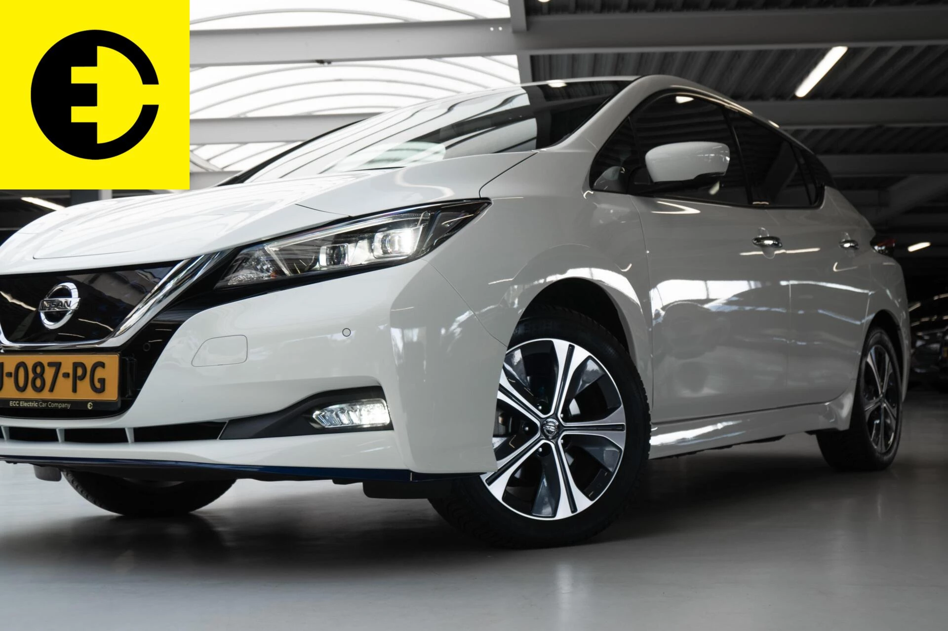 Hoofdafbeelding Nissan Leaf
