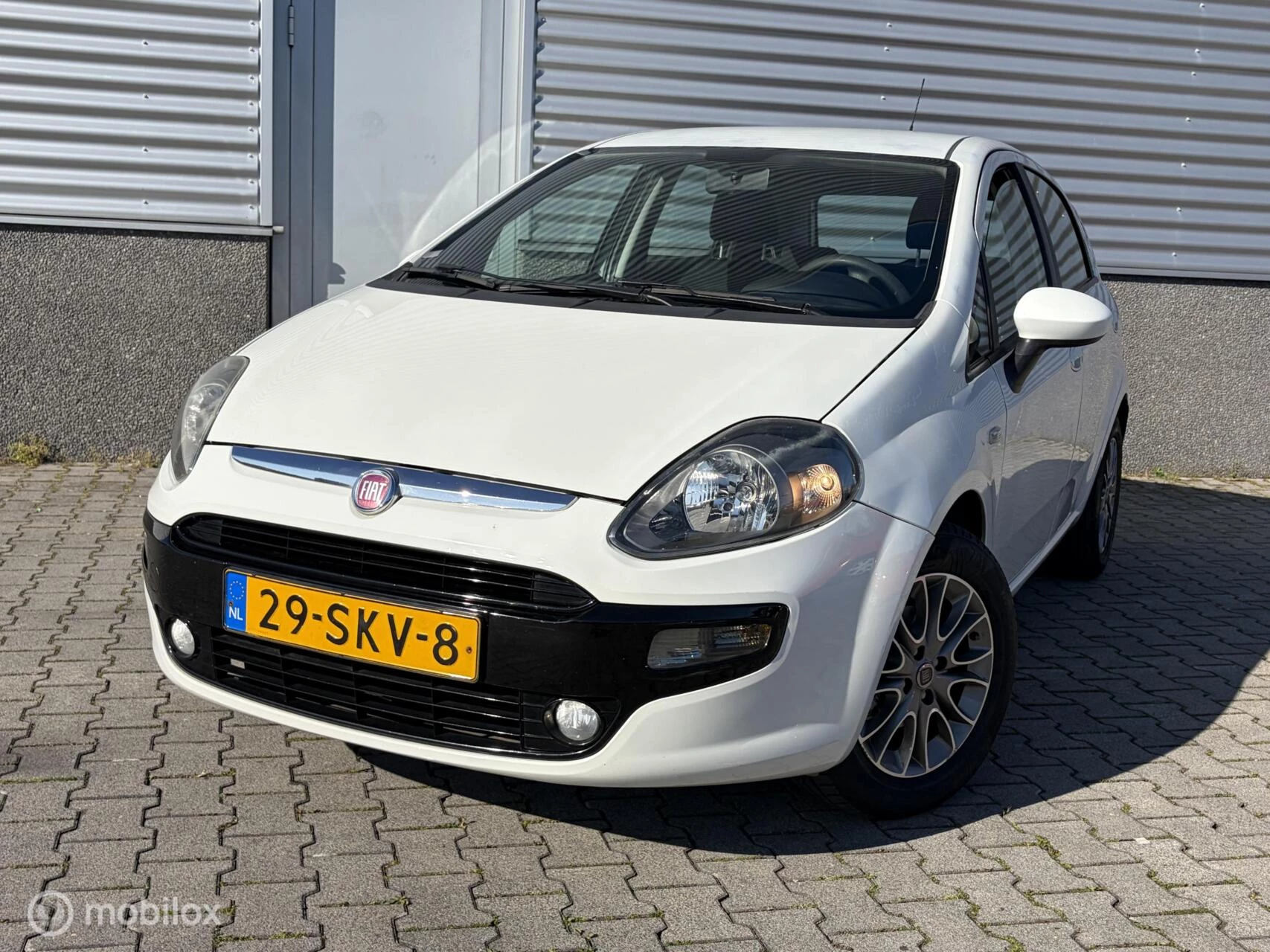 Hoofdafbeelding Fiat Punto