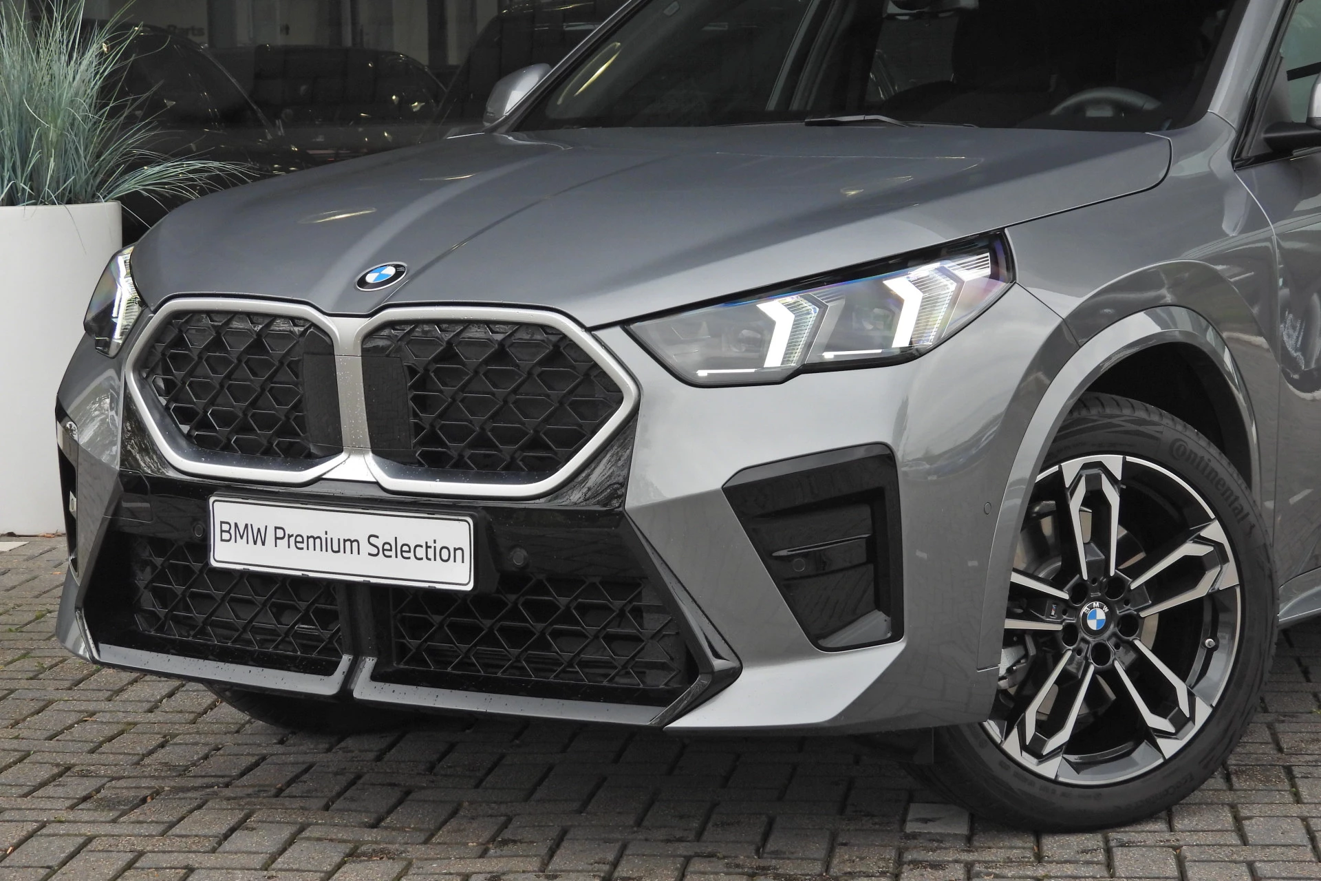 Hoofdafbeelding BMW X2