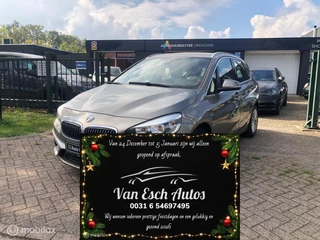 BMW 2-serie Active Tourer 117.DKM ECC LEDER NAVI PDC 220i