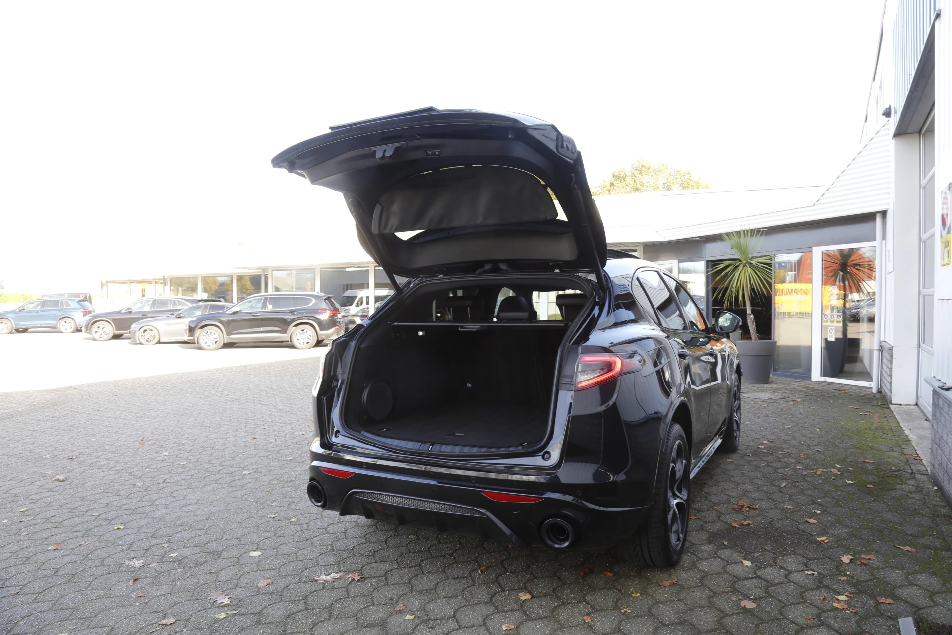 Hoofdafbeelding Alfa Romeo Stelvio