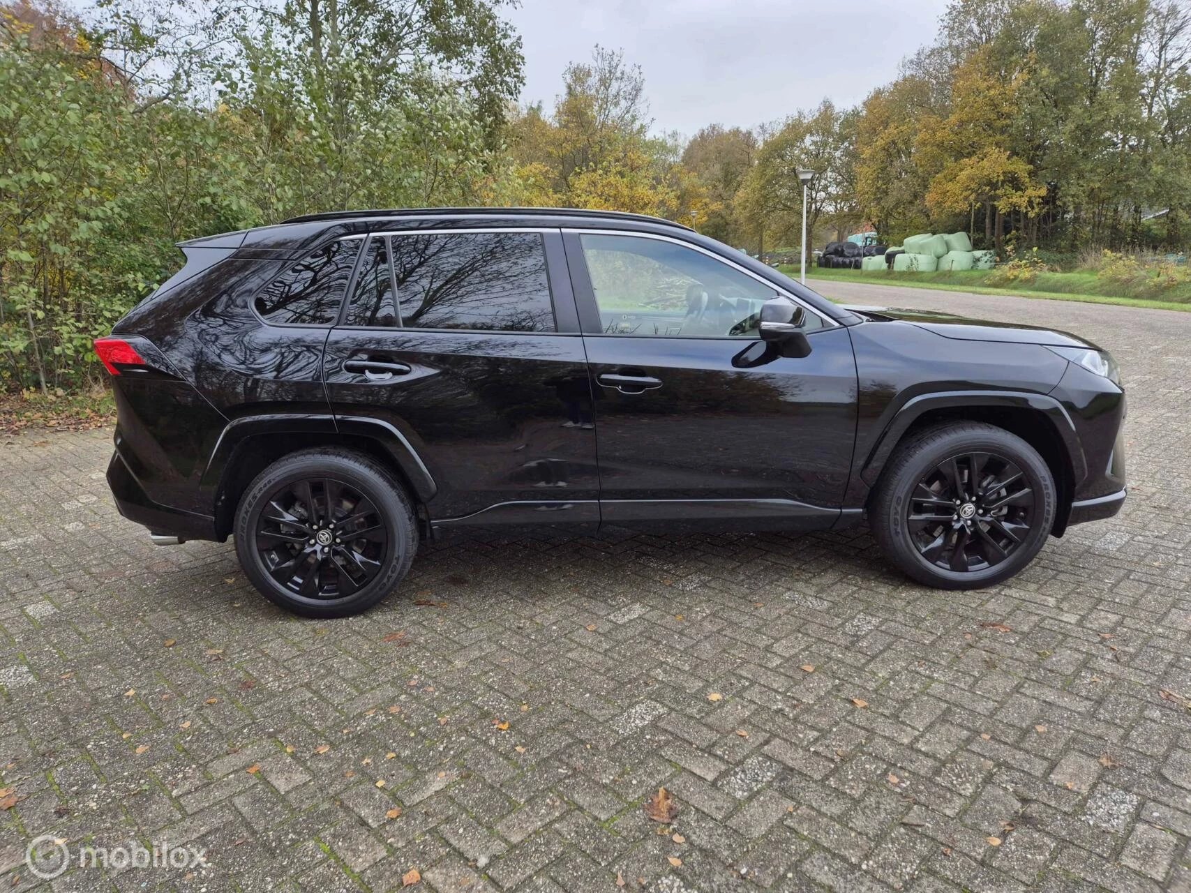 Hoofdafbeelding Toyota RAV4