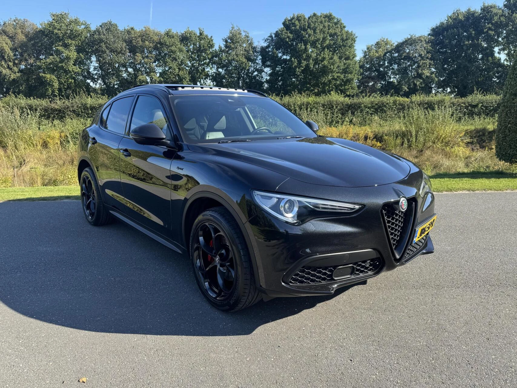 Hoofdafbeelding Alfa Romeo Stelvio