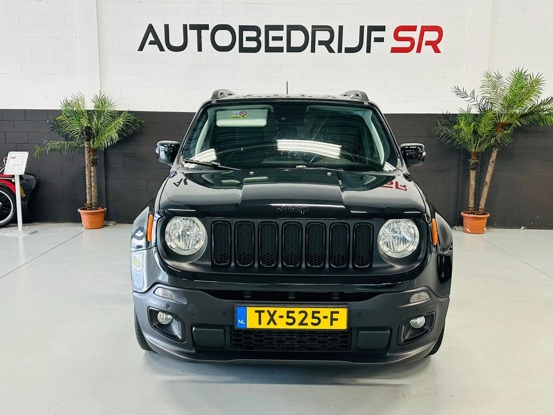 Hoofdafbeelding Jeep Renegade