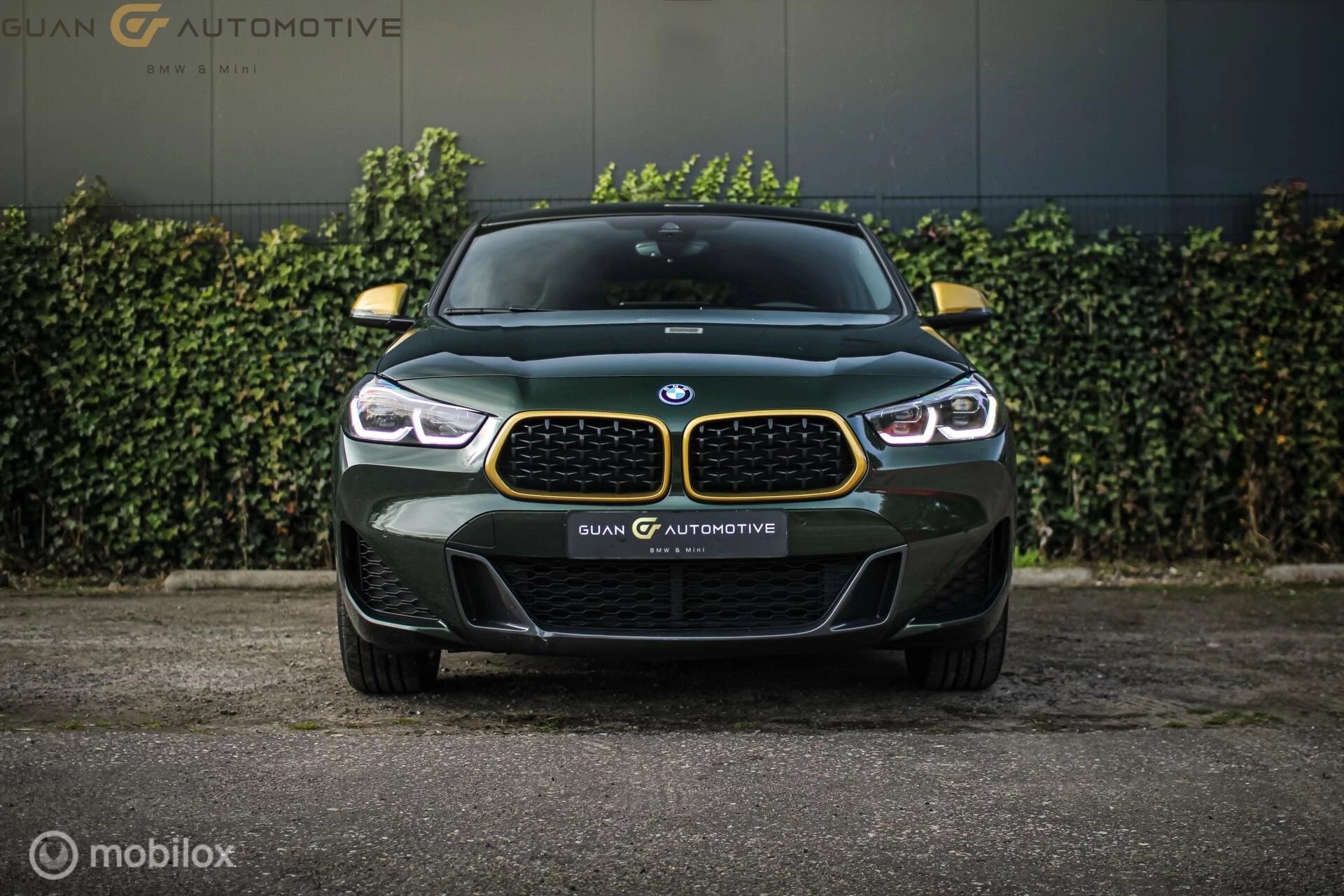 Hoofdafbeelding BMW X2