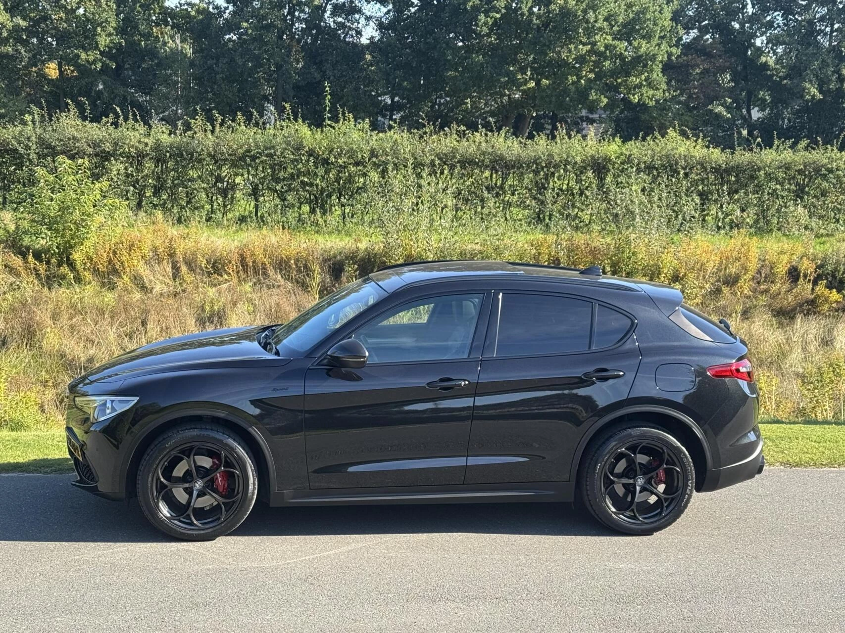 Hoofdafbeelding Alfa Romeo Stelvio