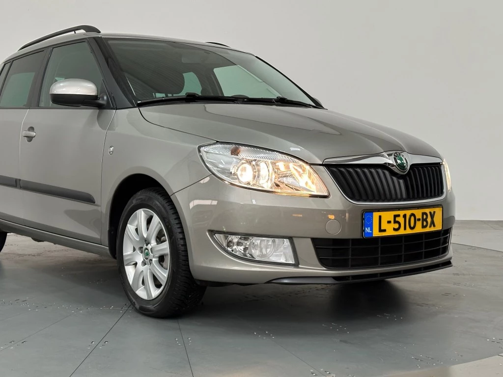 Hoofdafbeelding Škoda Fabia