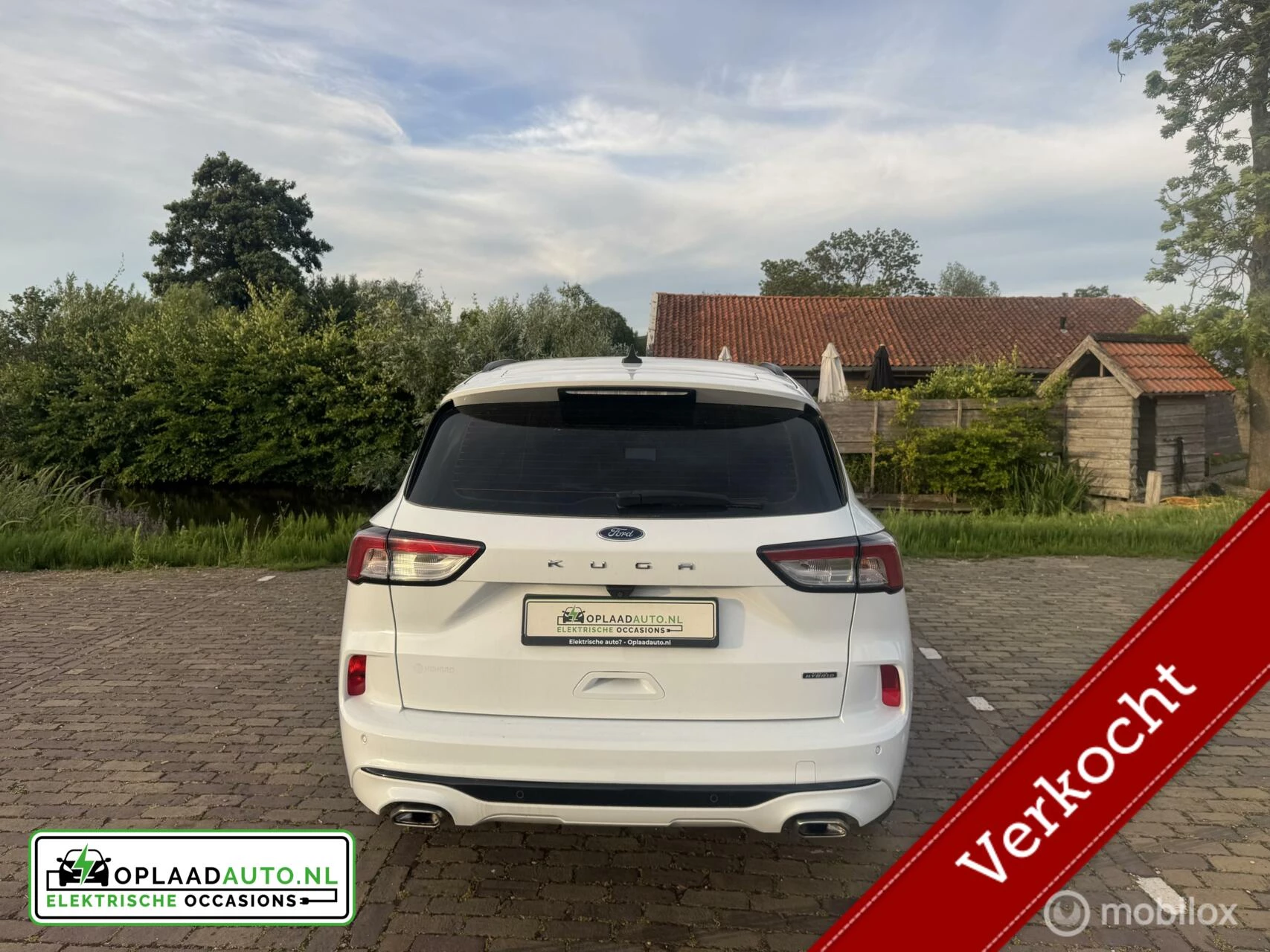 Hoofdafbeelding Ford Kuga