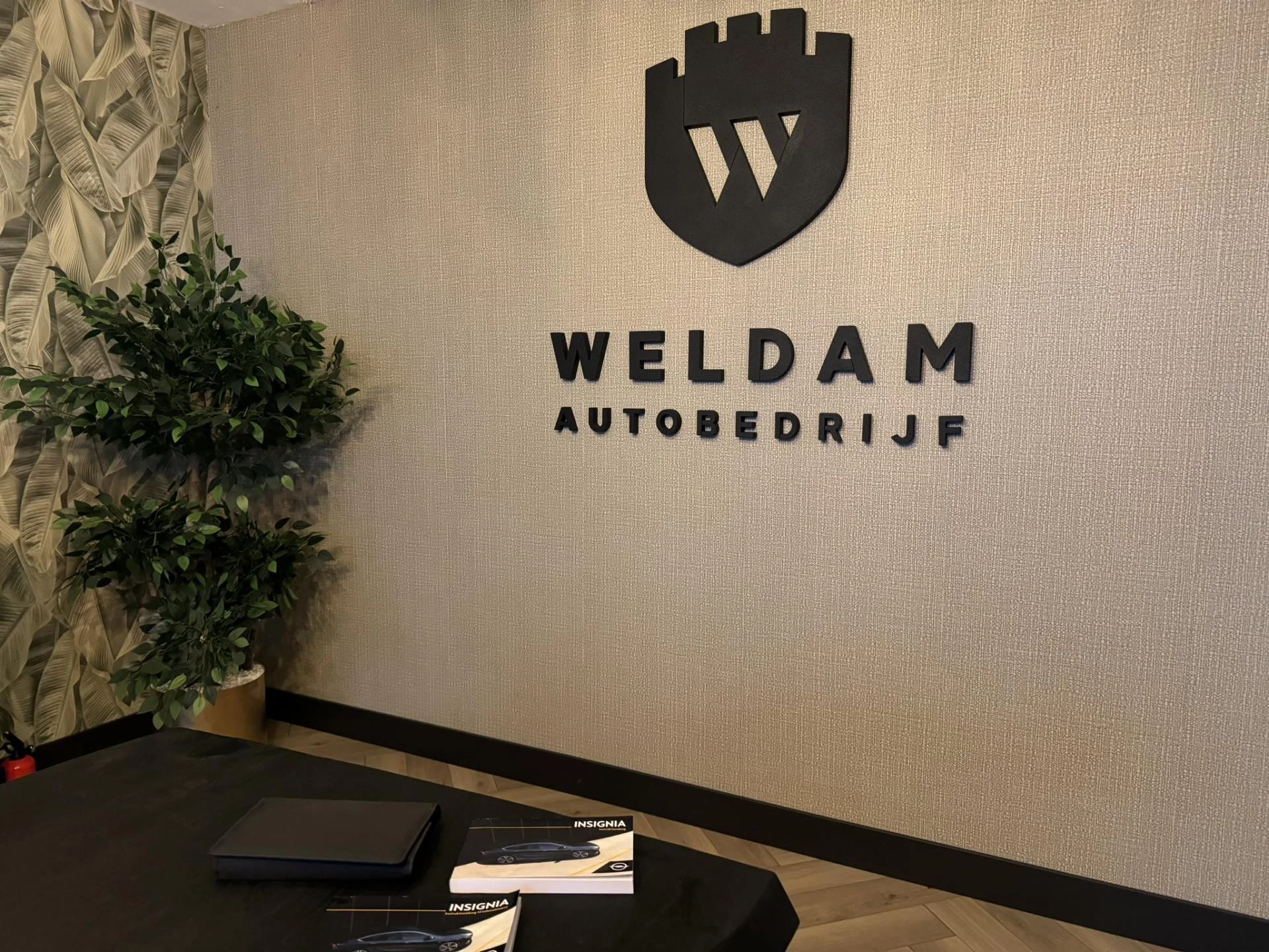 Hoofdafbeelding Opel Insignia