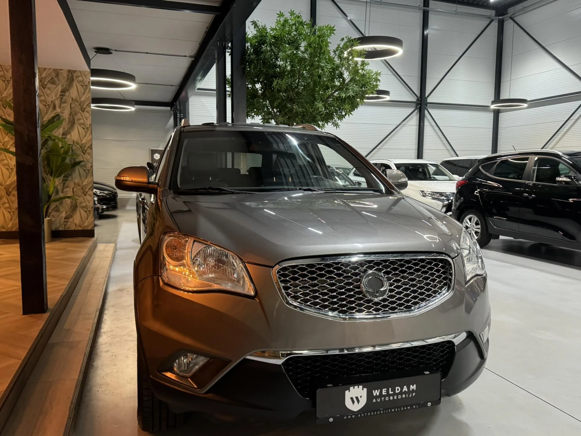 Hoofdafbeelding SsangYong Korando