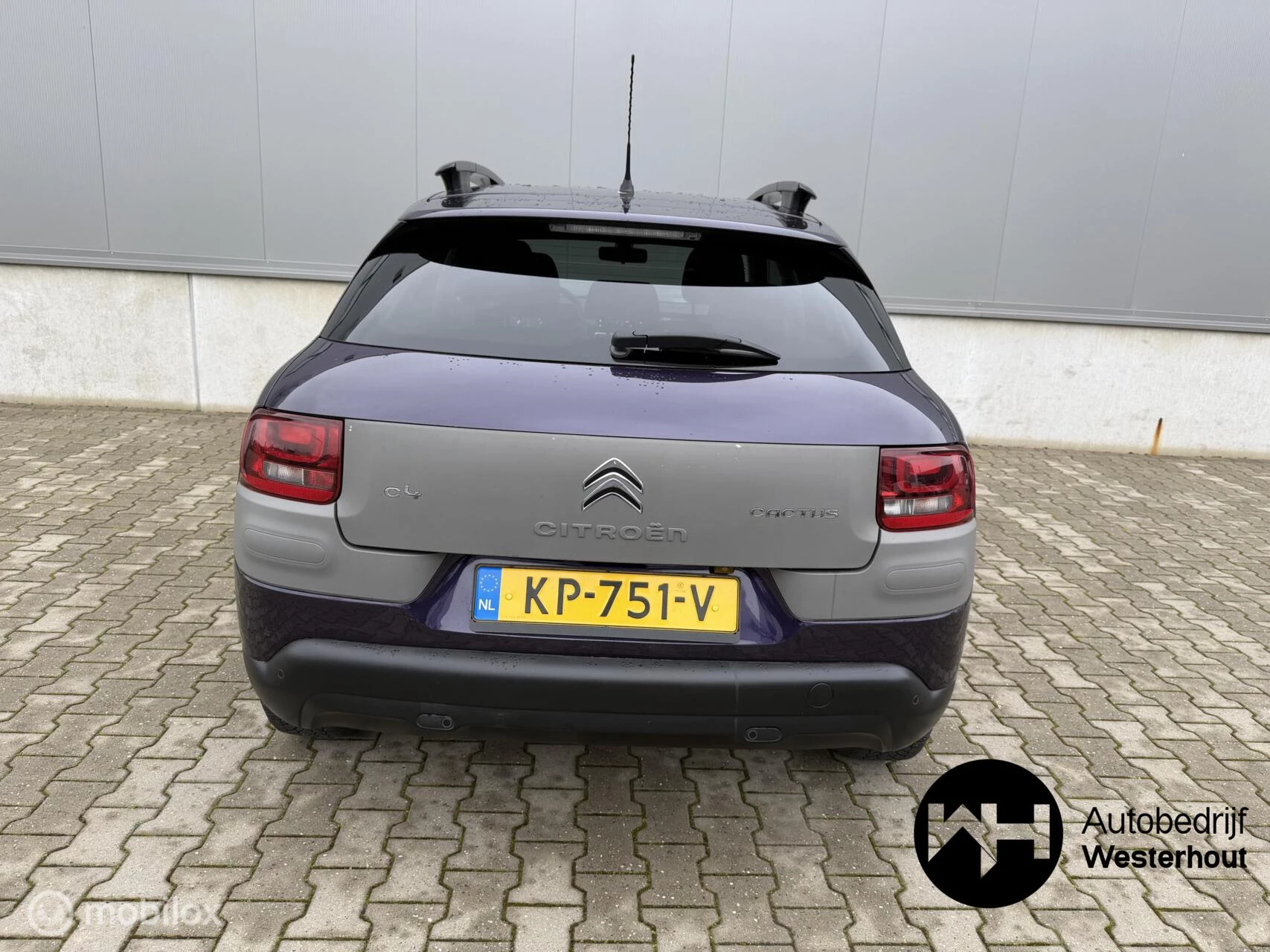 Hoofdafbeelding Citroën C4 Cactus