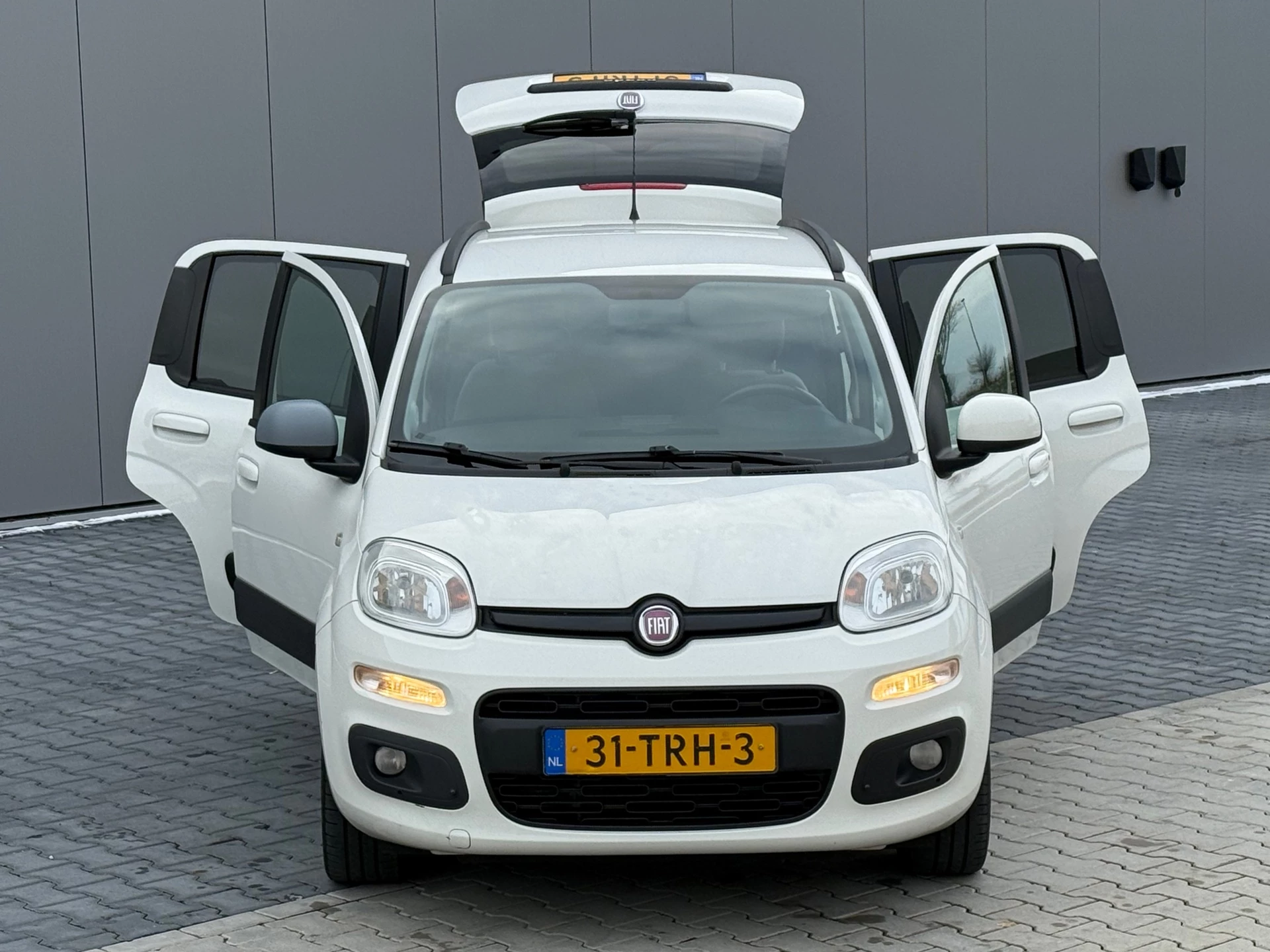 Hoofdafbeelding Fiat Panda
