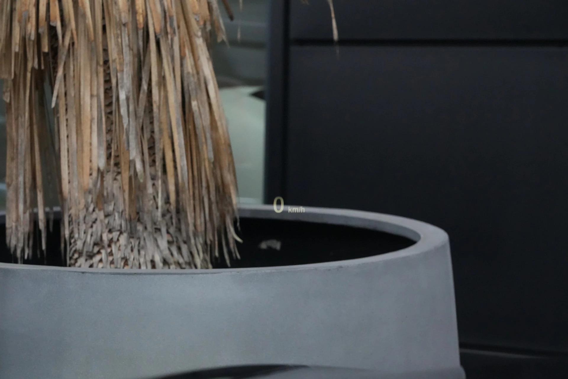 Hoofdafbeelding BMW X4