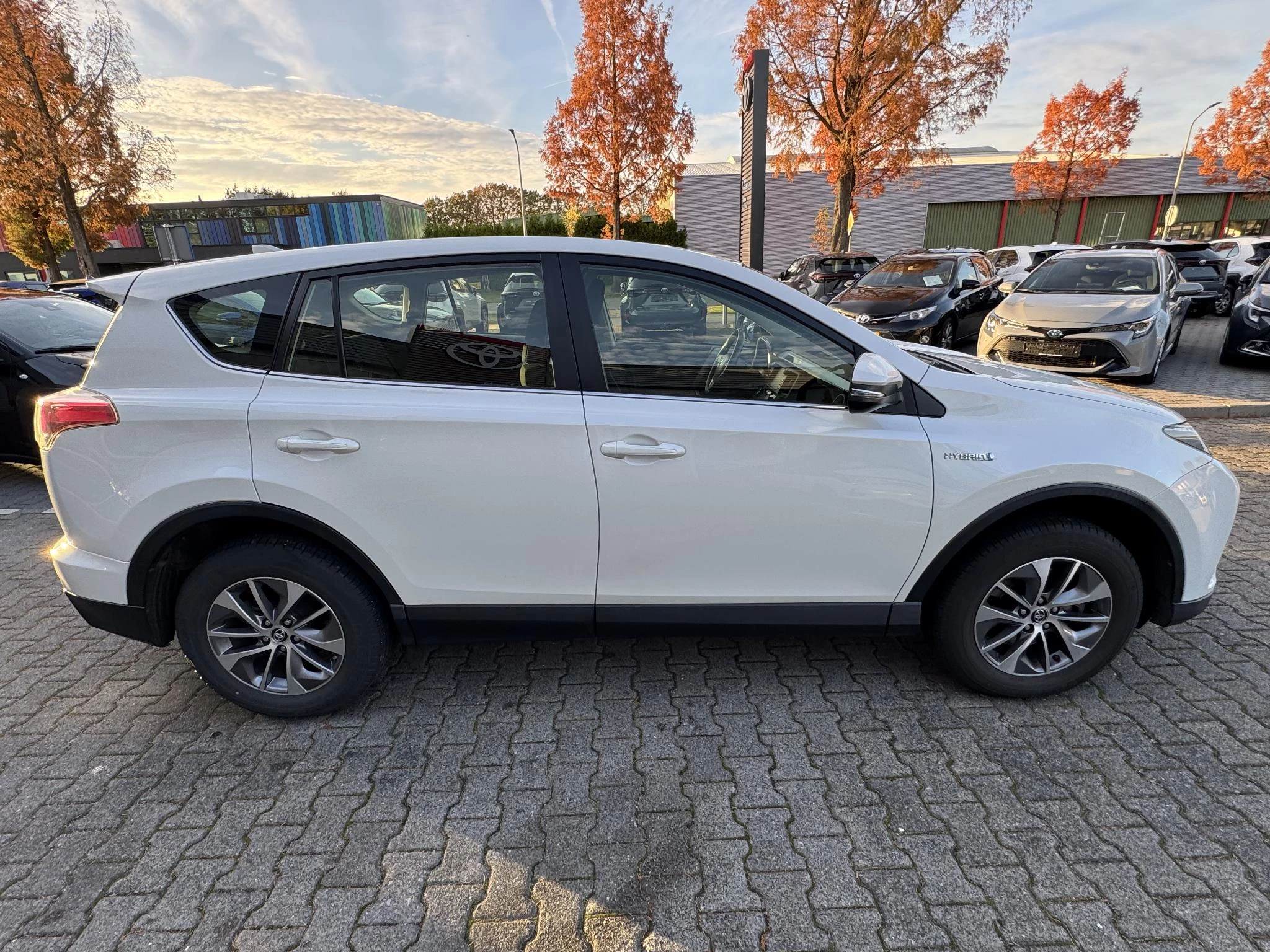 Hoofdafbeelding Toyota RAV4