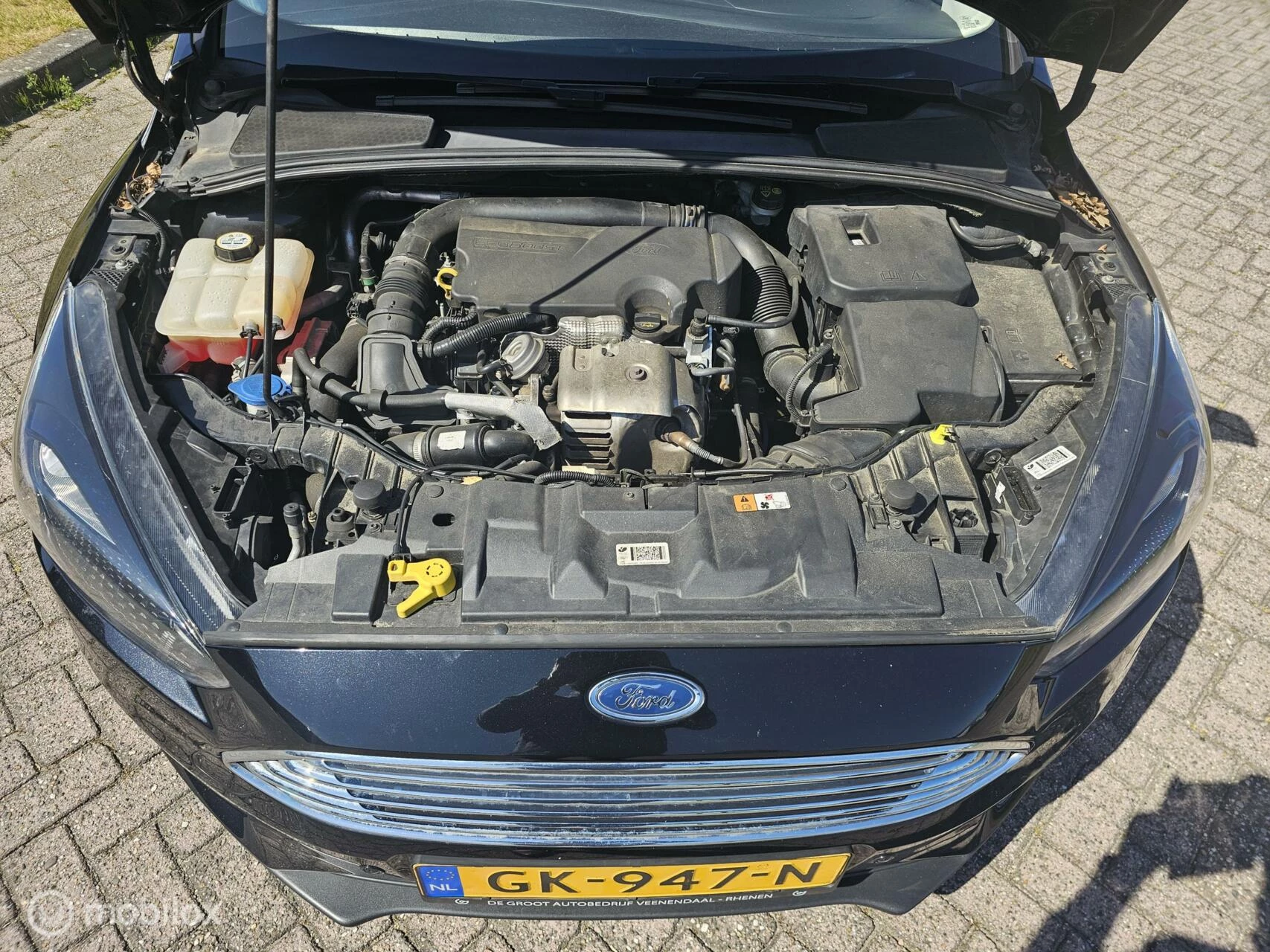 Hoofdafbeelding Ford Focus
