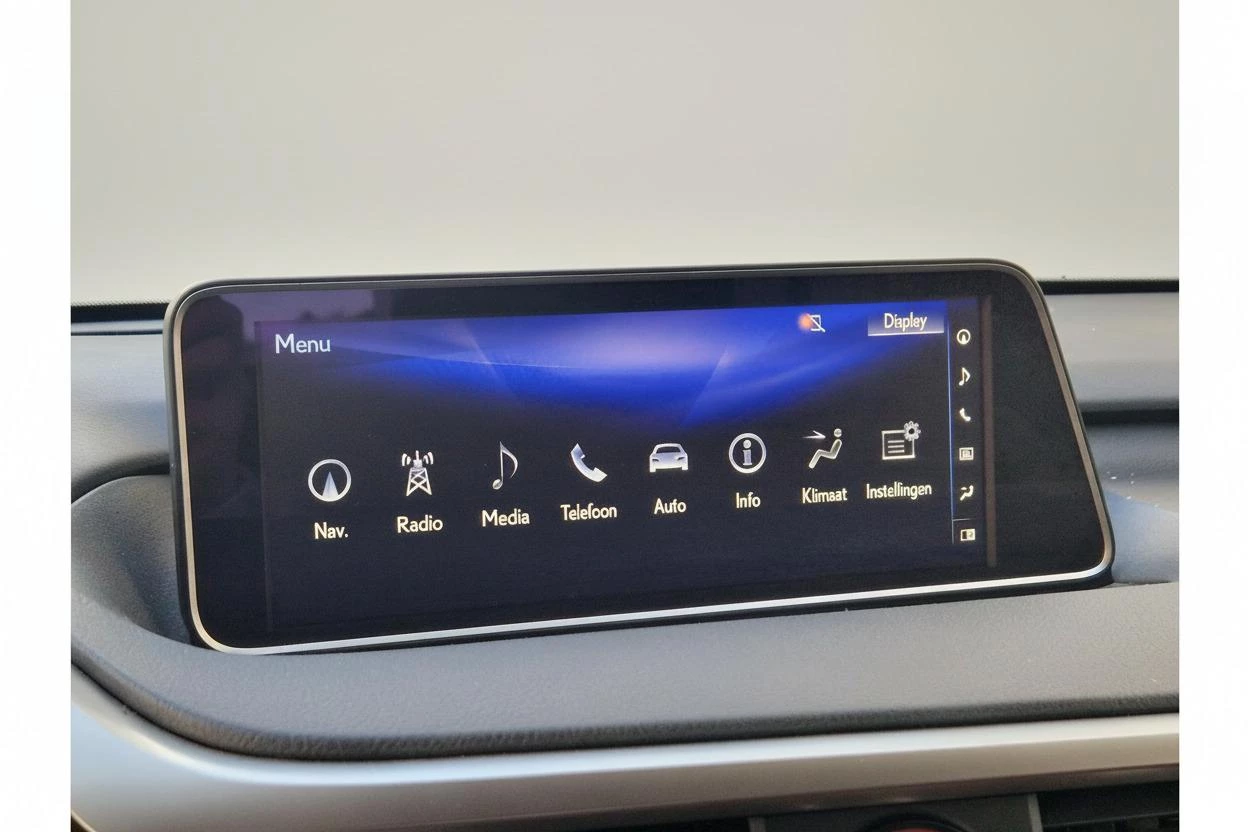 Hoofdafbeelding Lexus RX