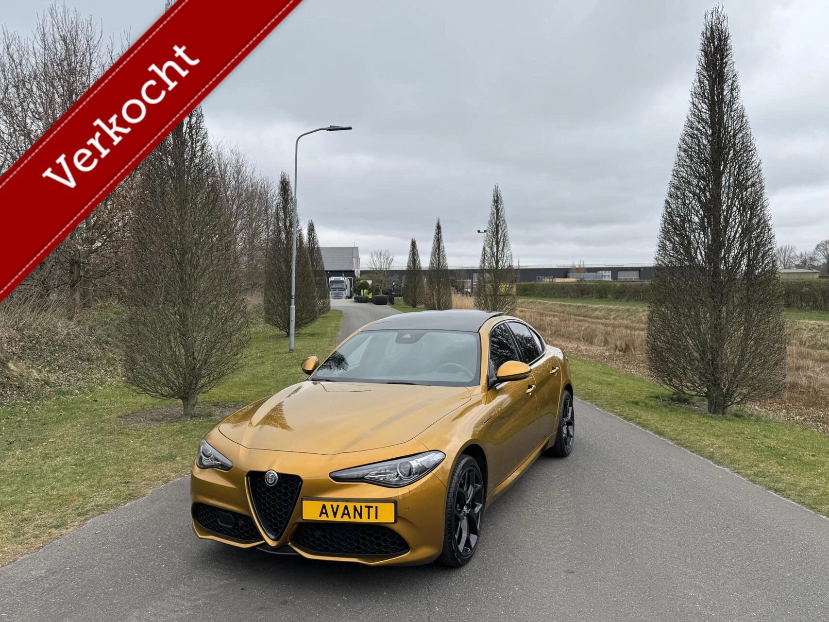 Hoofdafbeelding Alfa Romeo Giulia