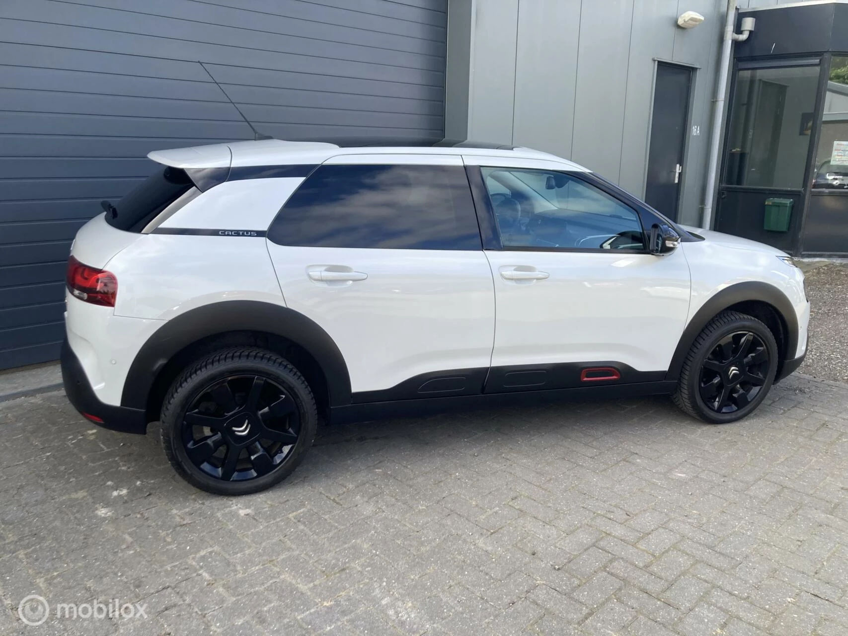 Hoofdafbeelding Citroën C4 Cactus
