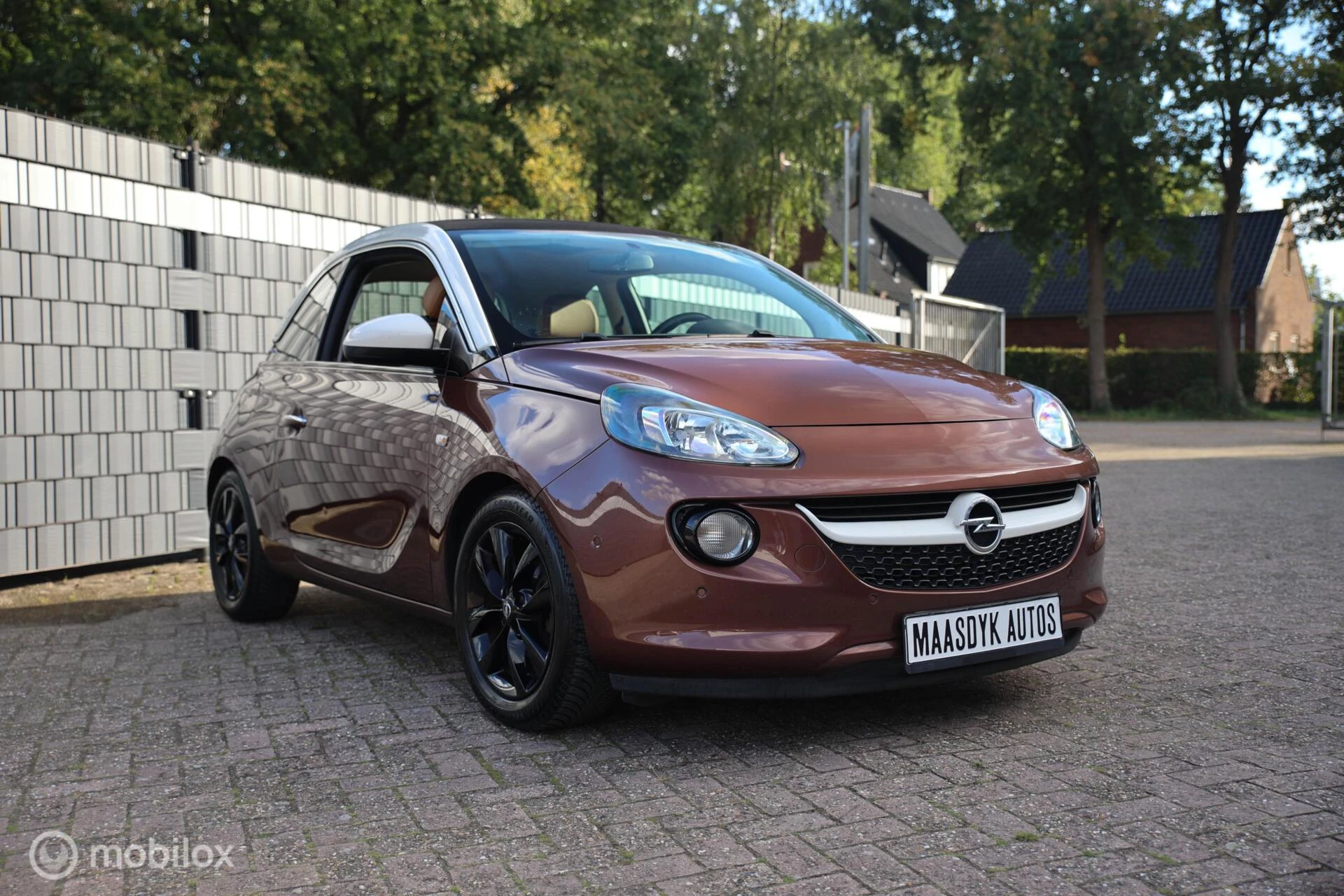 Hoofdafbeelding Opel ADAM