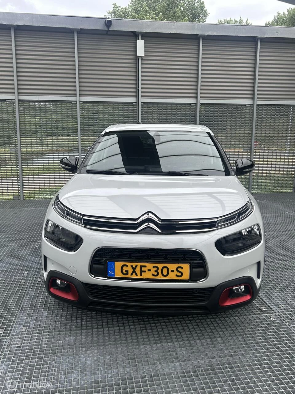 Hoofdafbeelding Citroën C4 Cactus