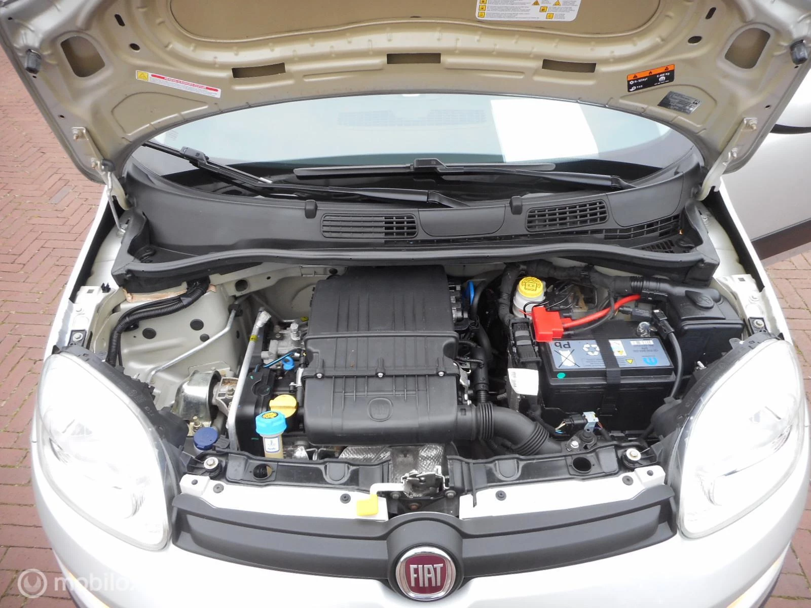 Hoofdafbeelding Fiat Panda