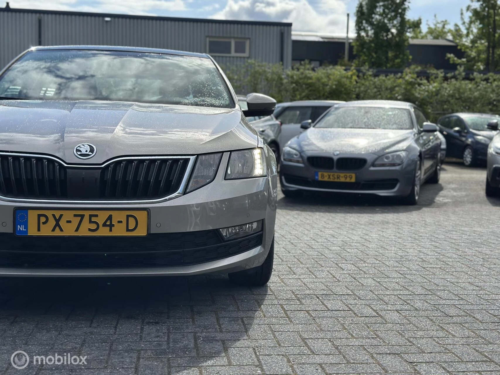 Hoofdafbeelding Škoda Octavia