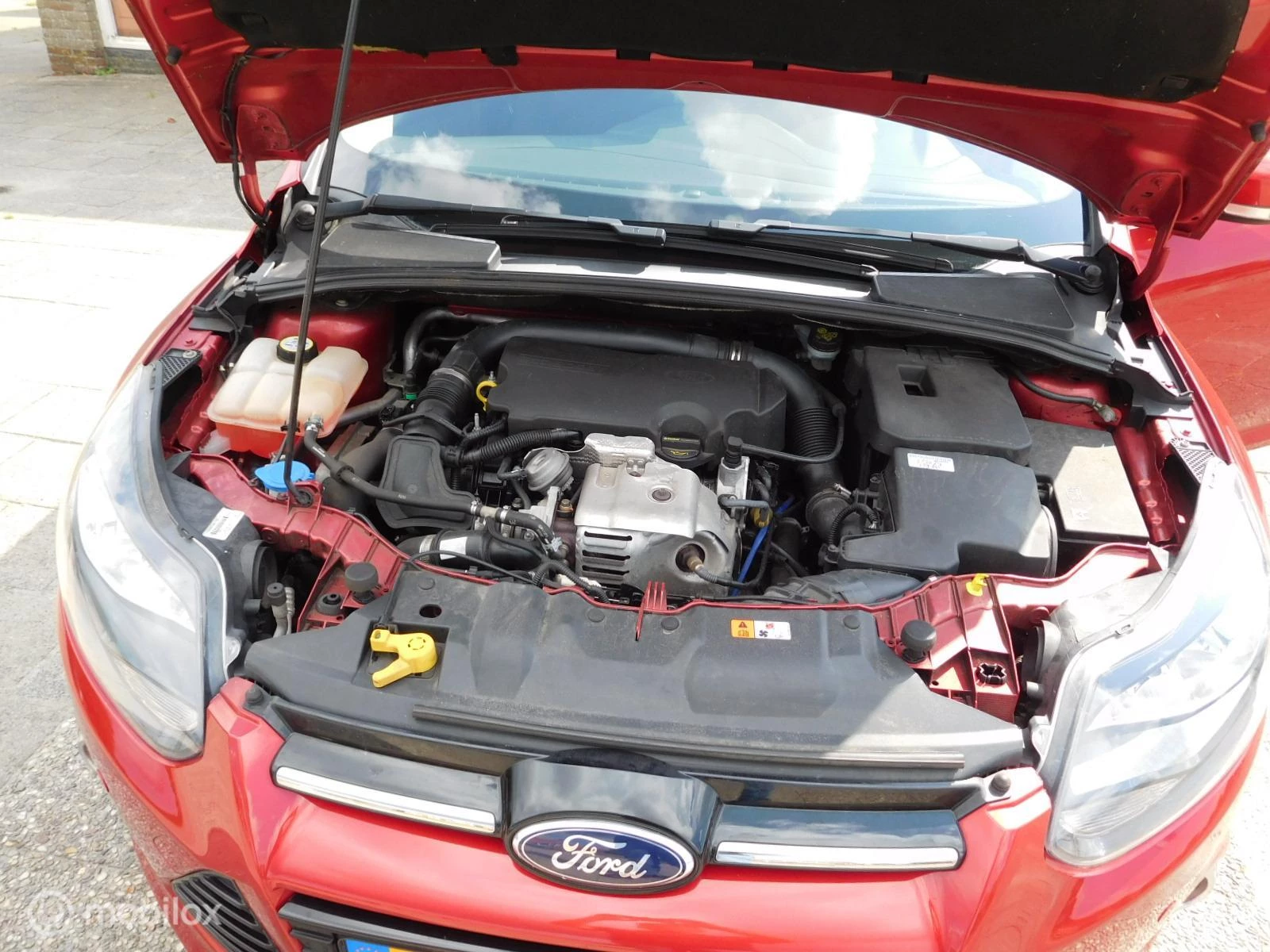 Hoofdafbeelding Ford Focus