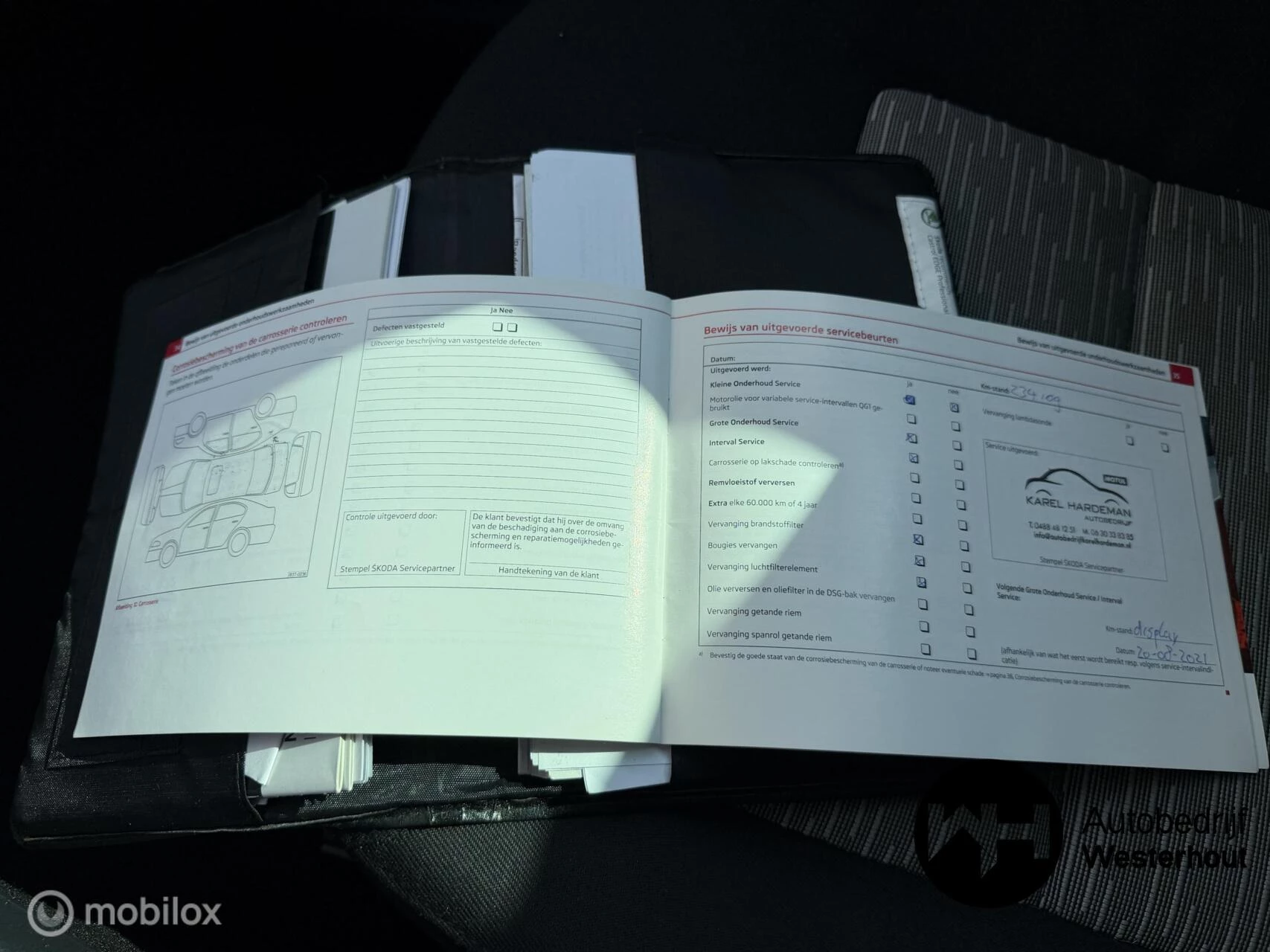 Hoofdafbeelding Škoda Octavia