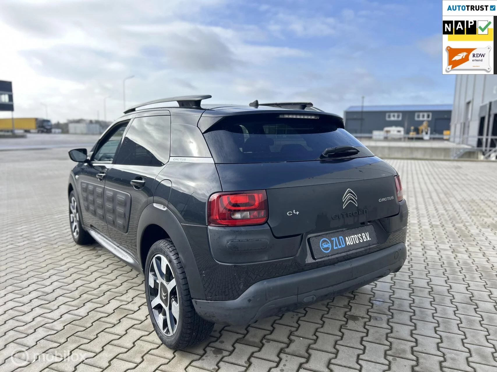 Hoofdafbeelding Citroën C4 Cactus