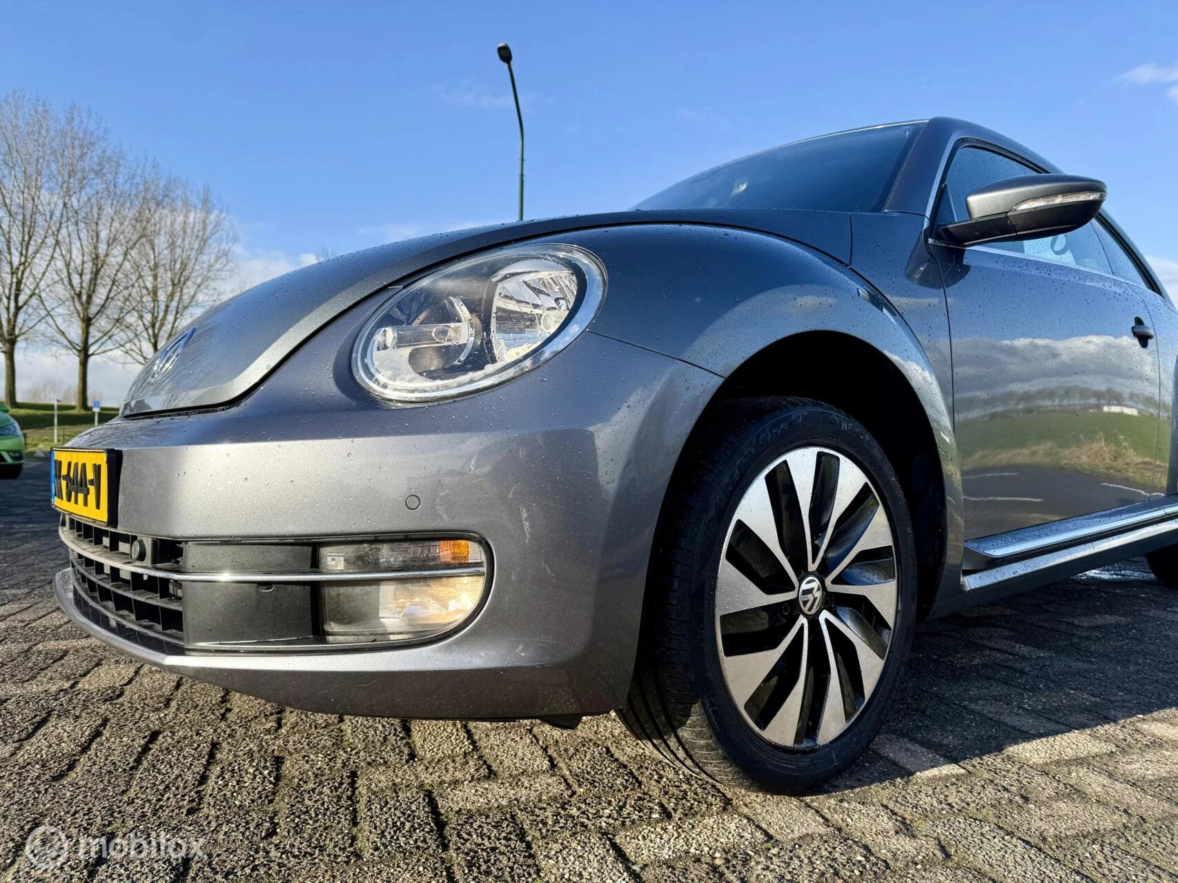 Hoofdafbeelding Volkswagen Beetle