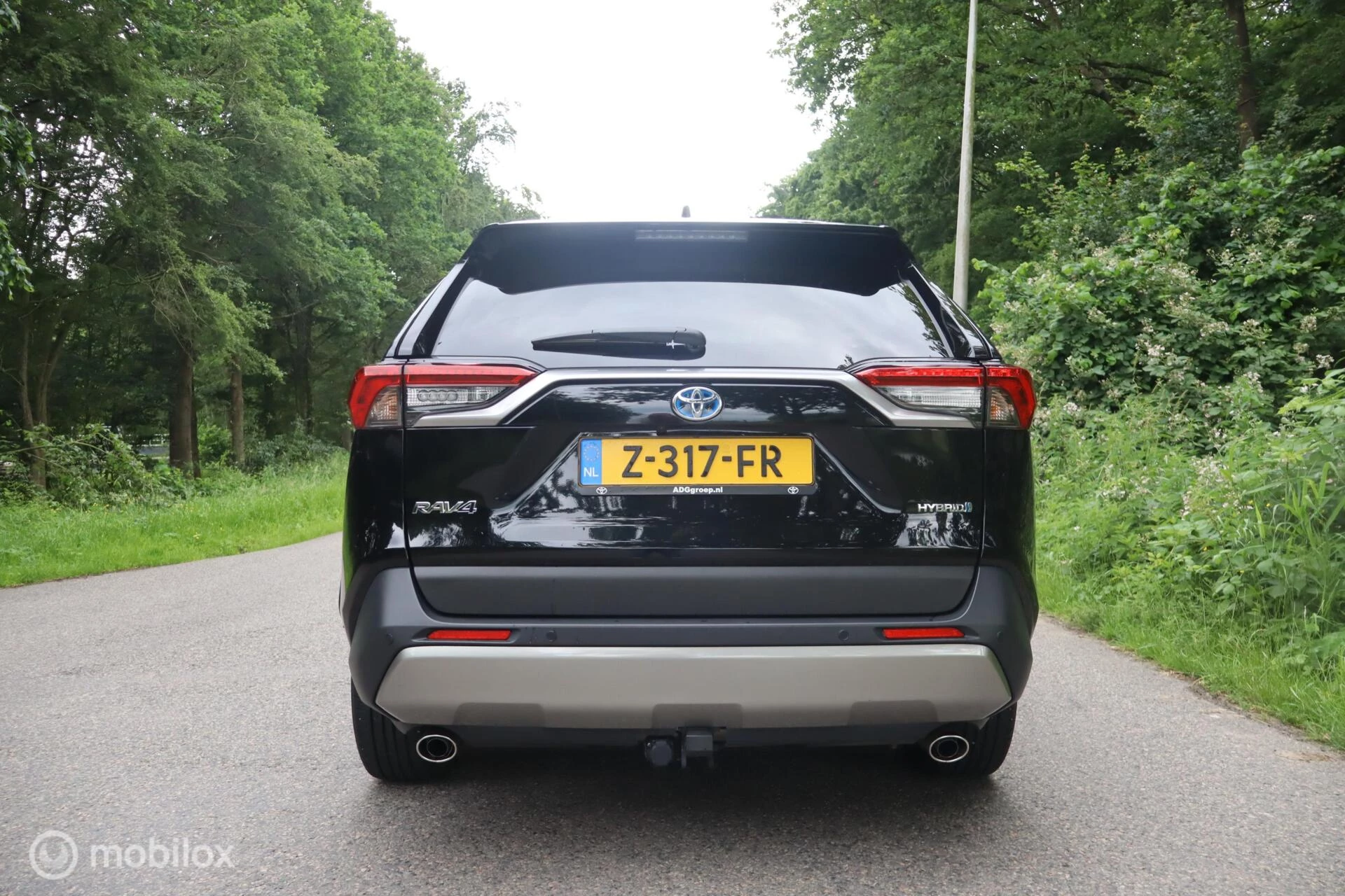 Hoofdafbeelding Toyota RAV4