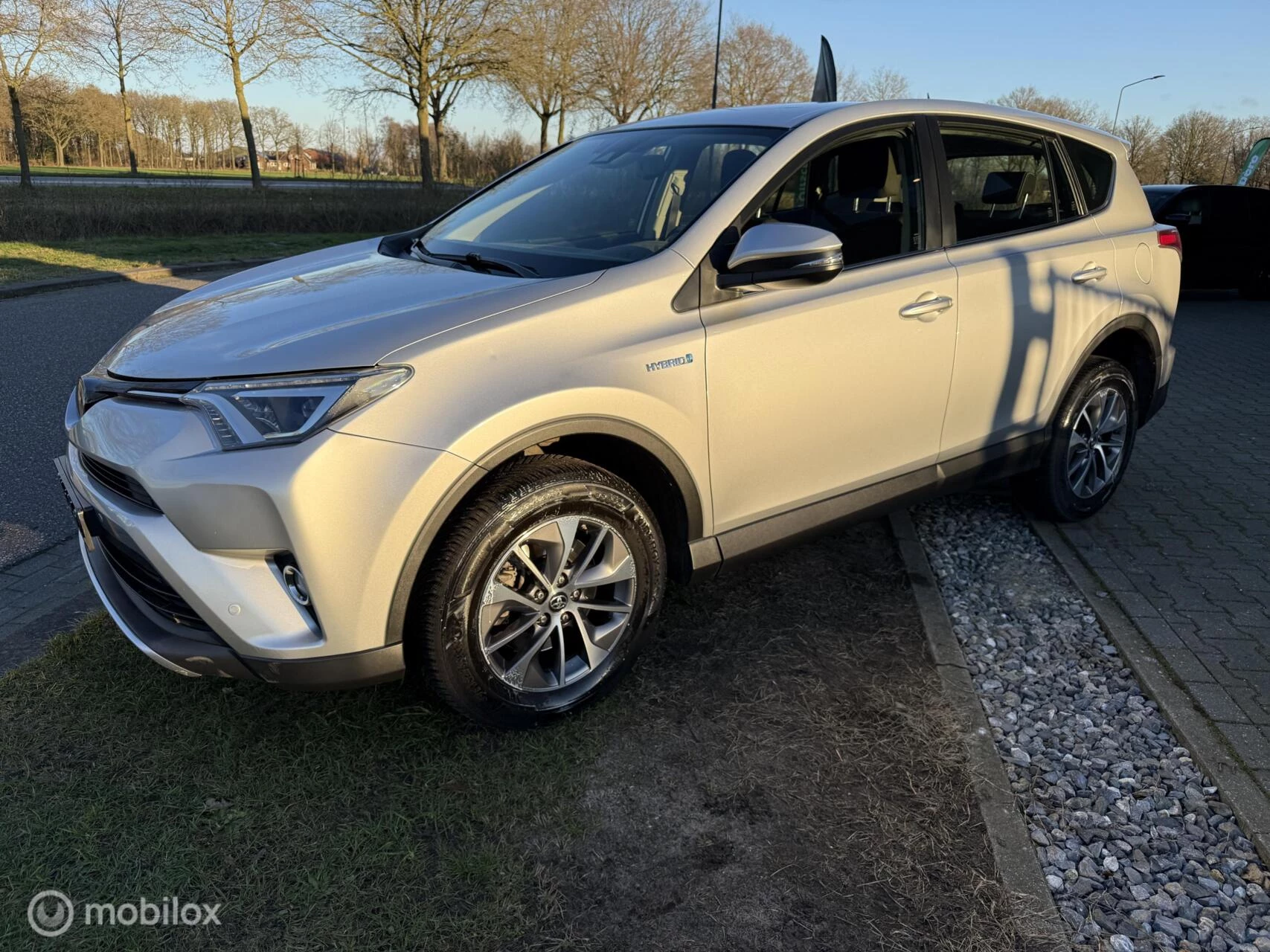 Hoofdafbeelding Toyota RAV4