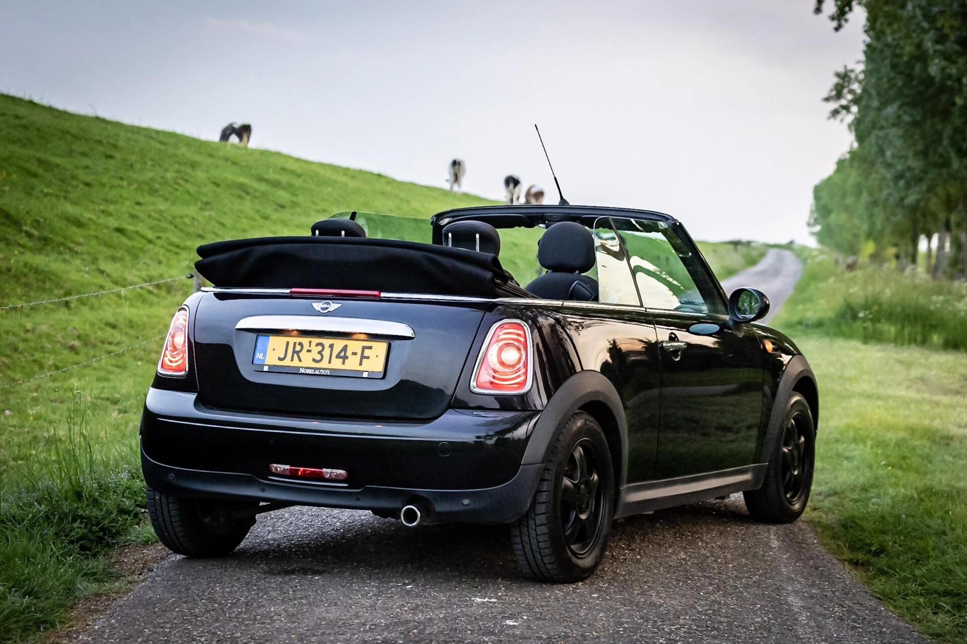 Hoofdafbeelding MINI Cooper Cabrio