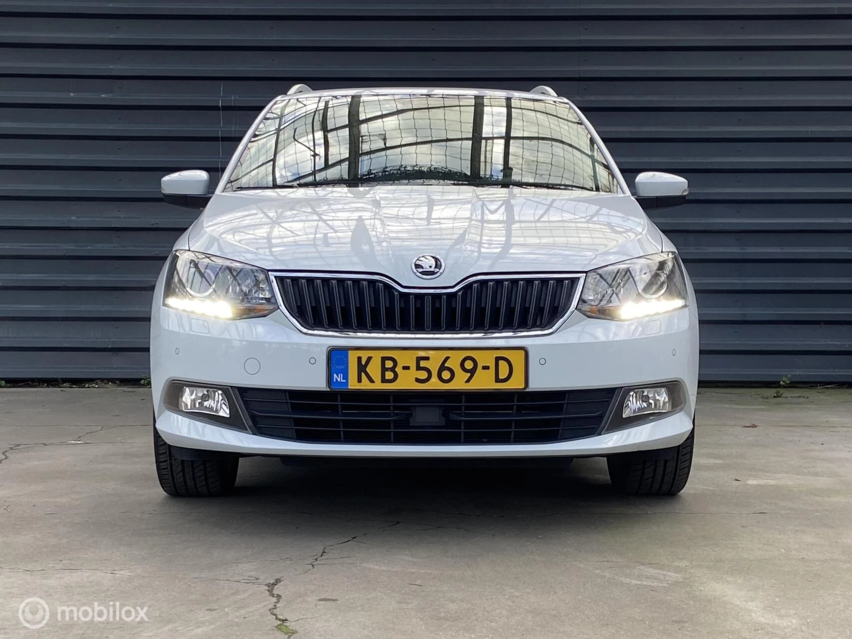 Hoofdafbeelding Škoda Fabia