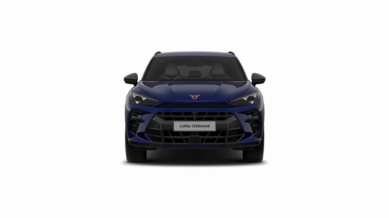 Hoofdafbeelding CUPRA Terramar