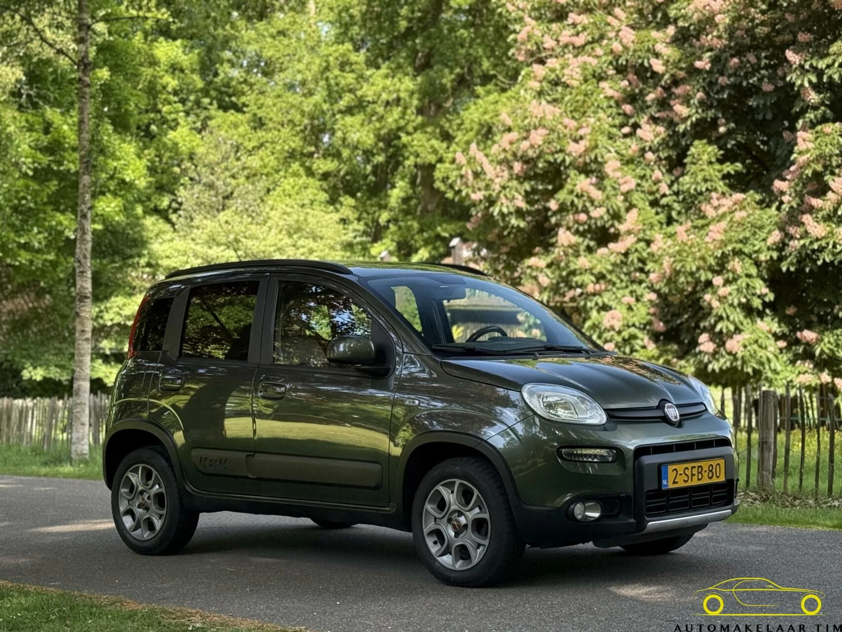 Hoofdafbeelding Fiat Panda