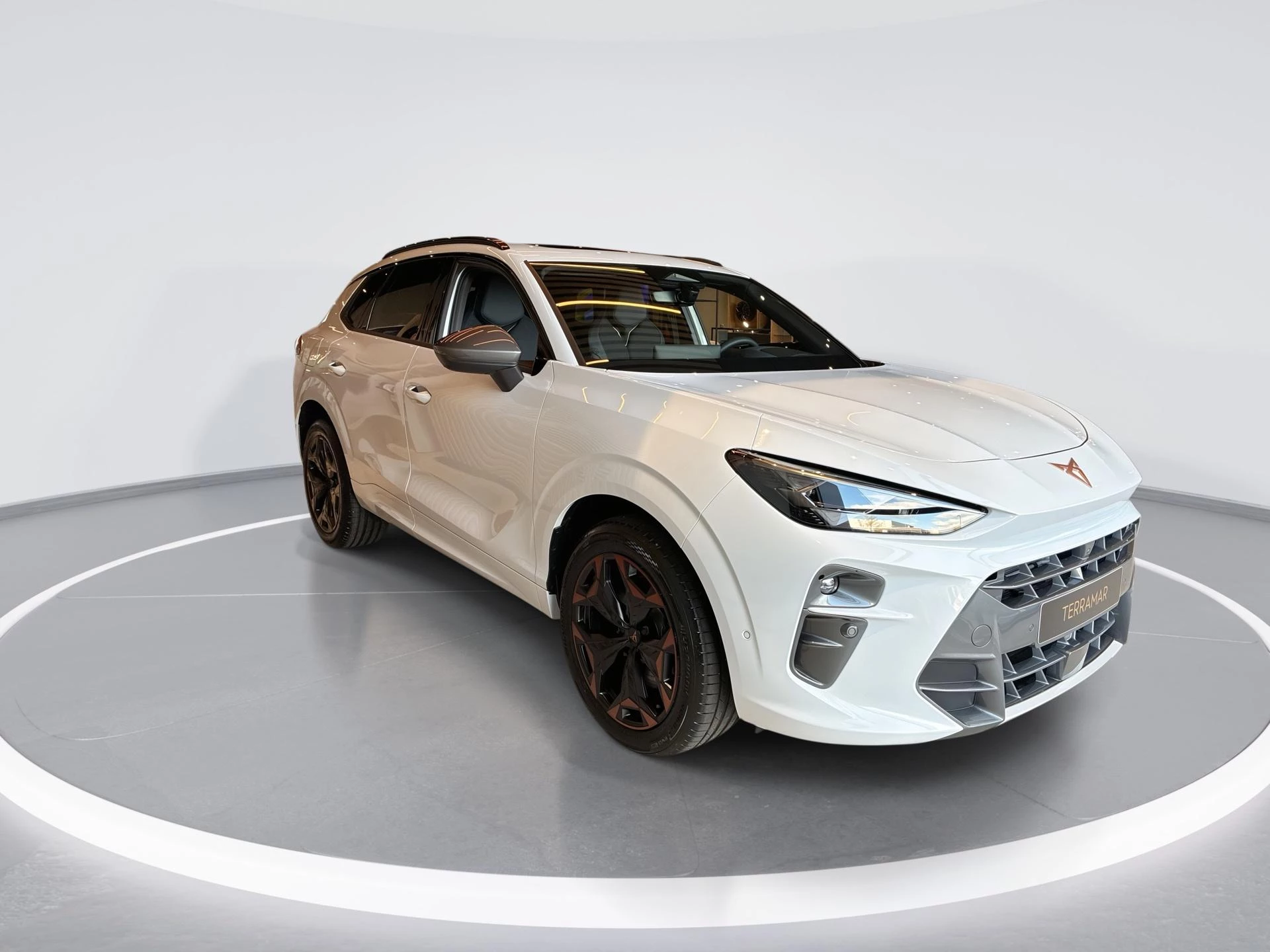 Hoofdafbeelding CUPRA Terramar