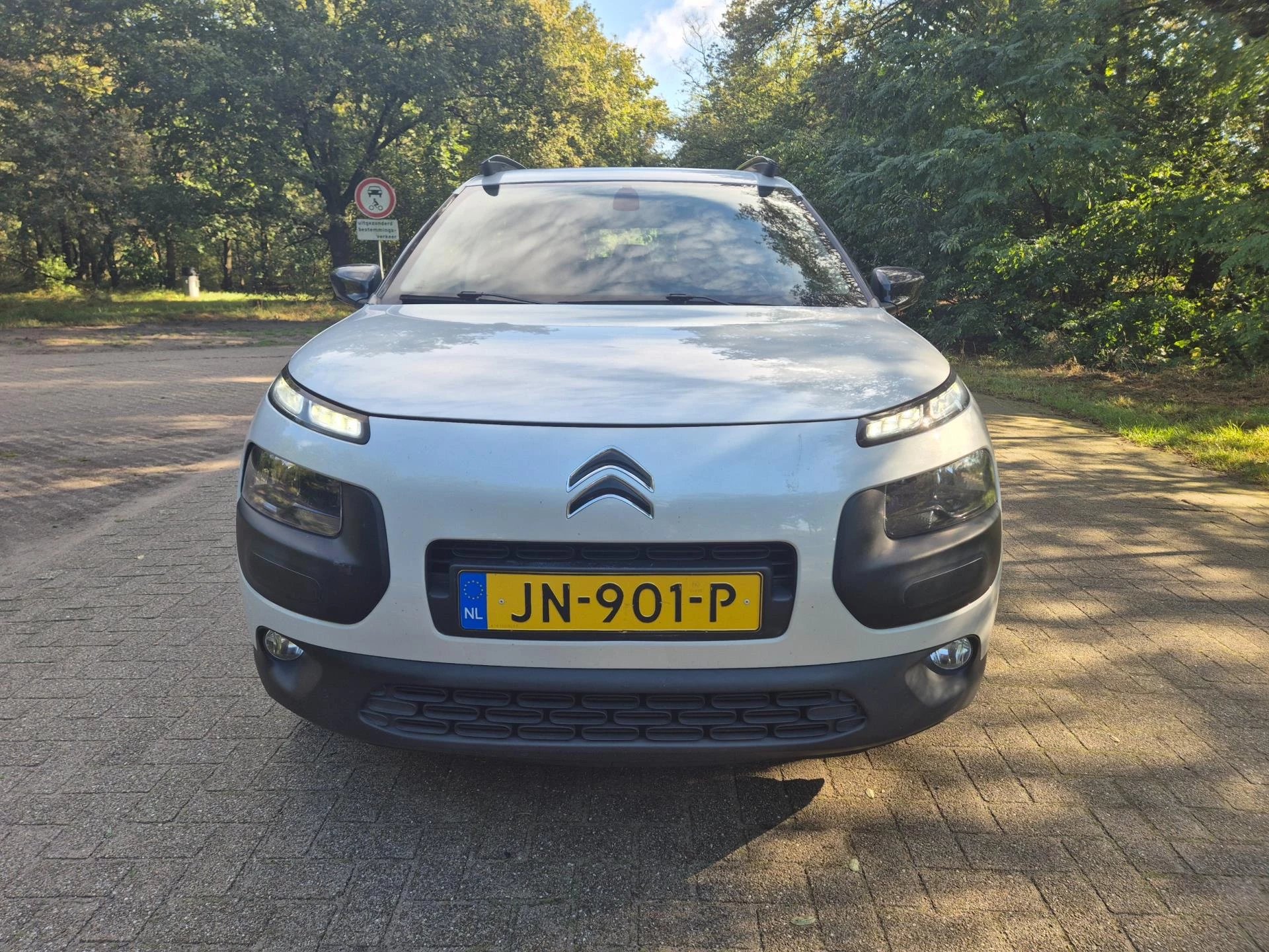 Hoofdafbeelding Citroën C4 Cactus