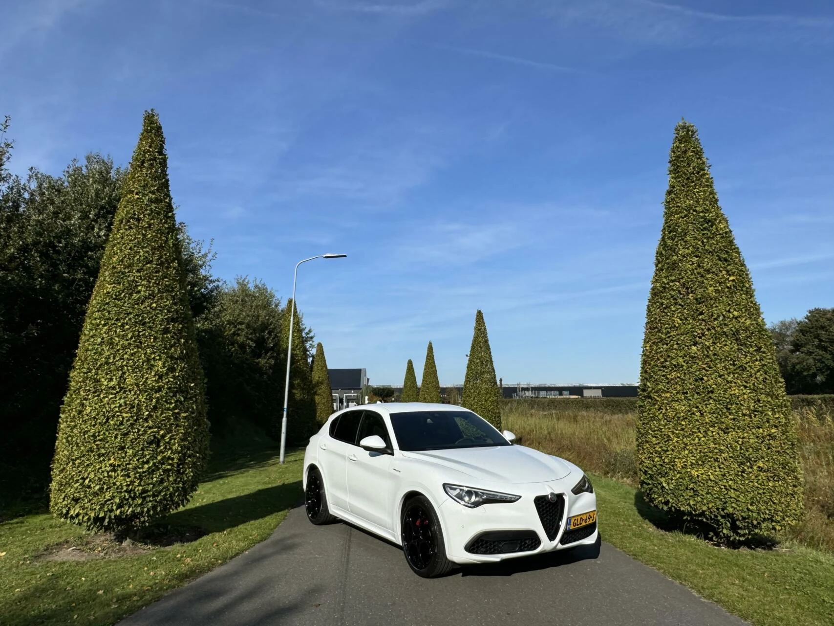 Hoofdafbeelding Alfa Romeo Stelvio