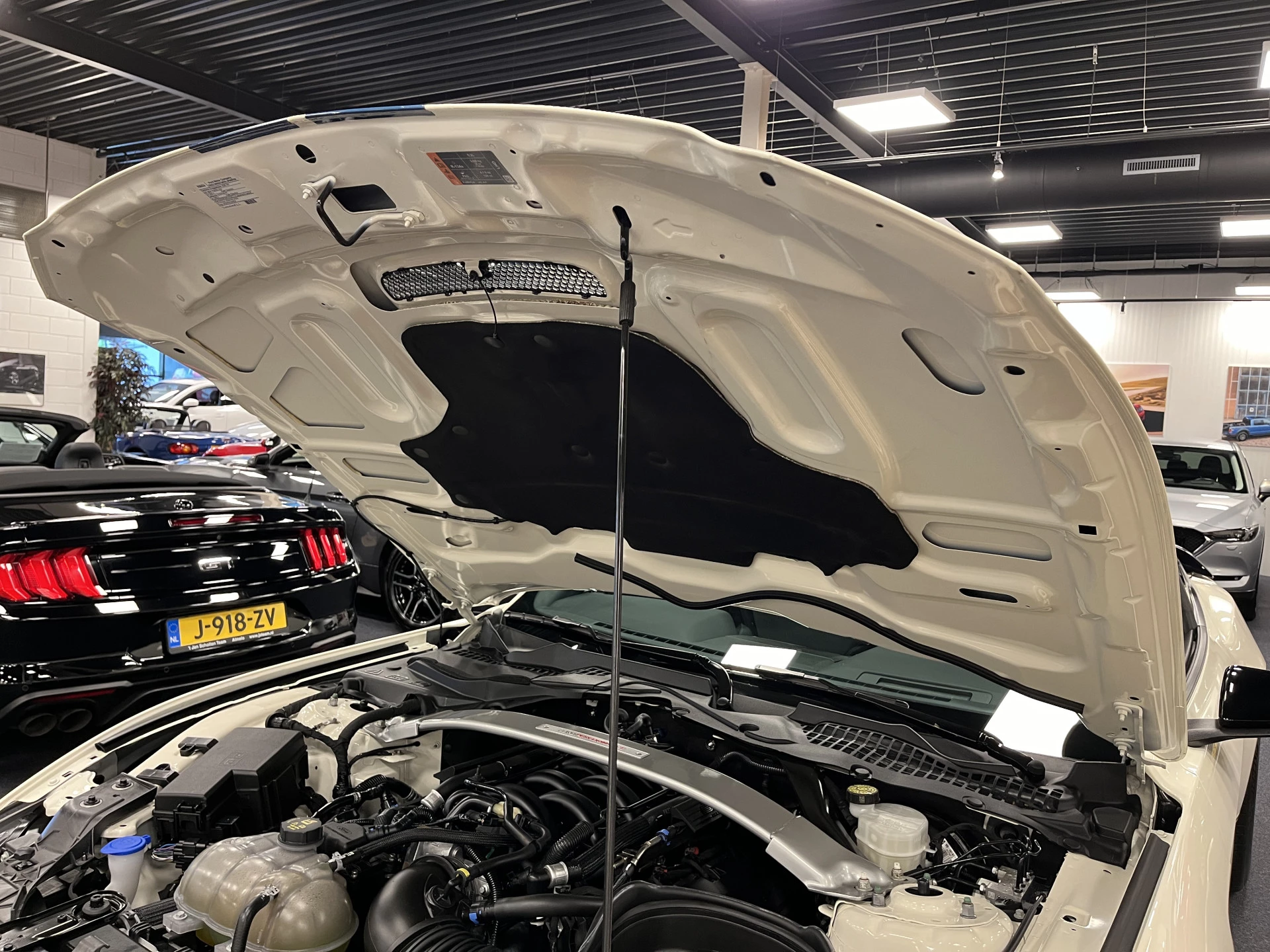 Hoofdafbeelding Ford Mustang
