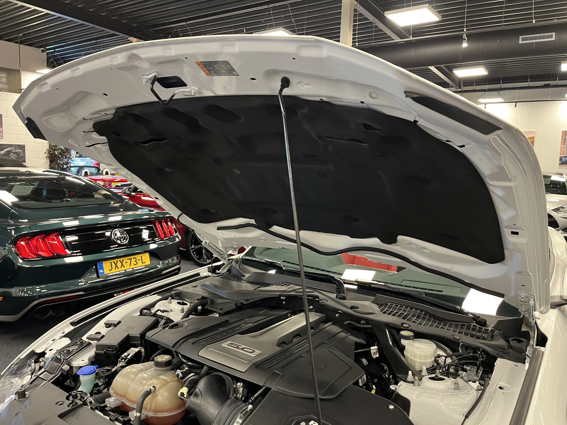 Hoofdafbeelding Ford Mustang