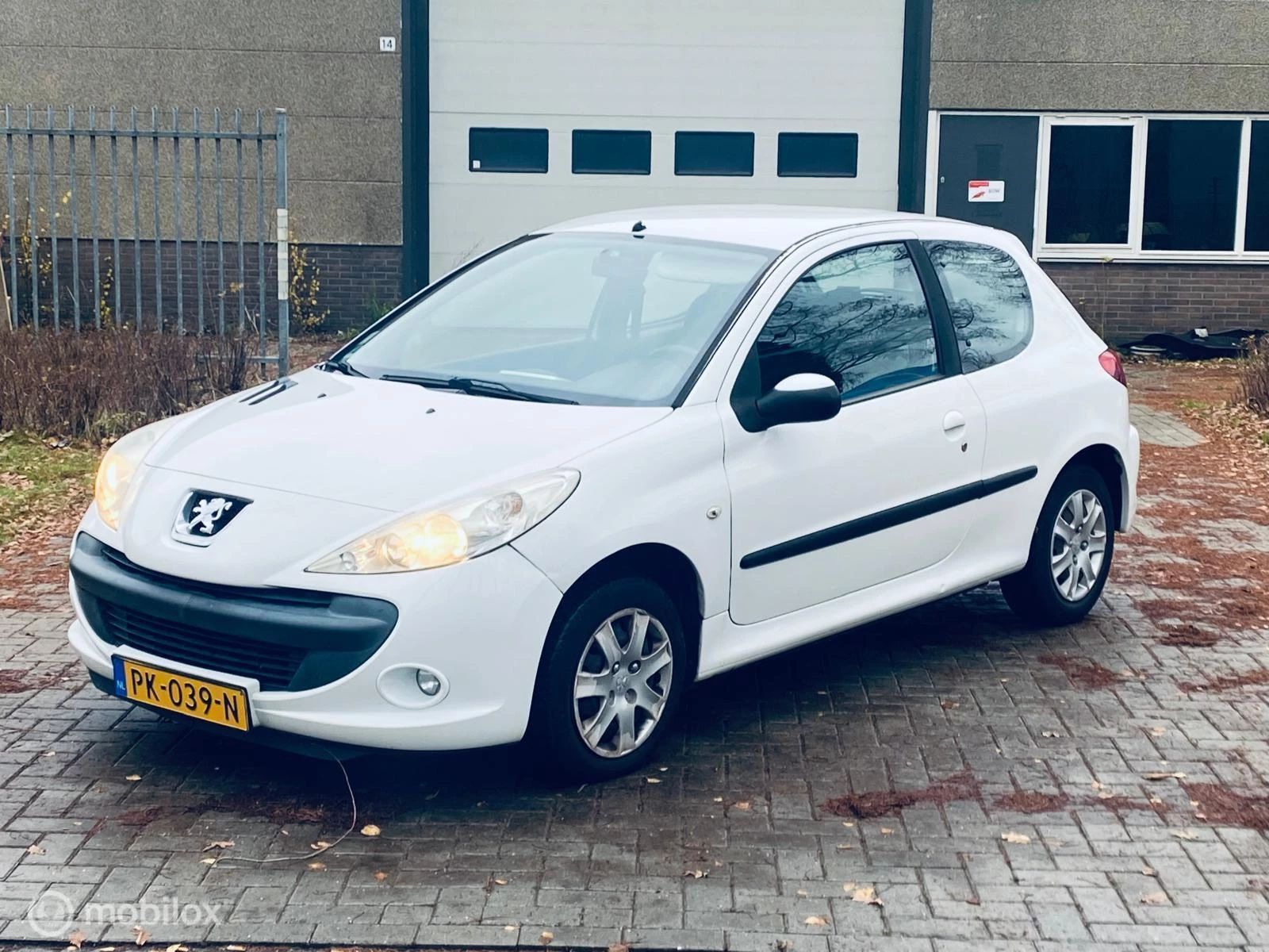 Hoofdafbeelding Peugeot 206