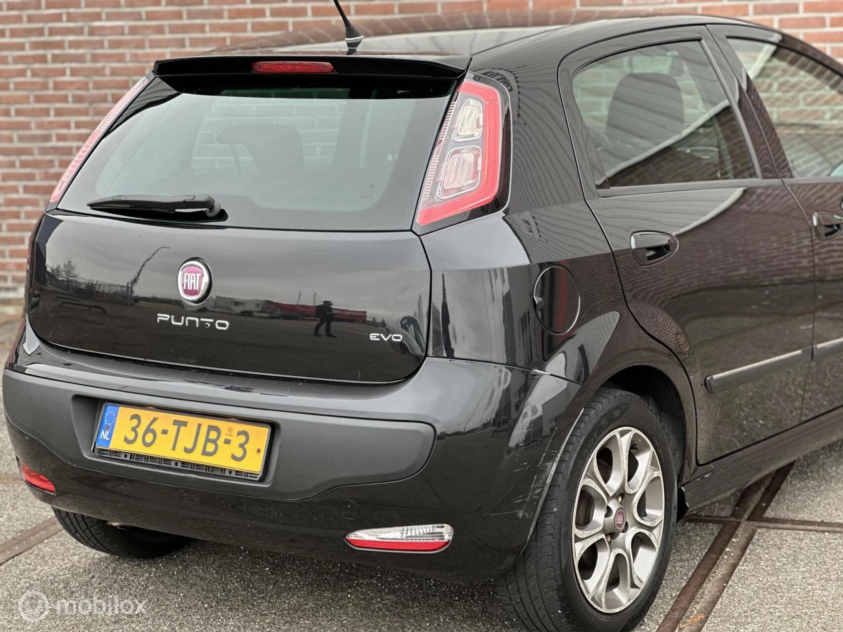 Hoofdafbeelding Fiat Punto