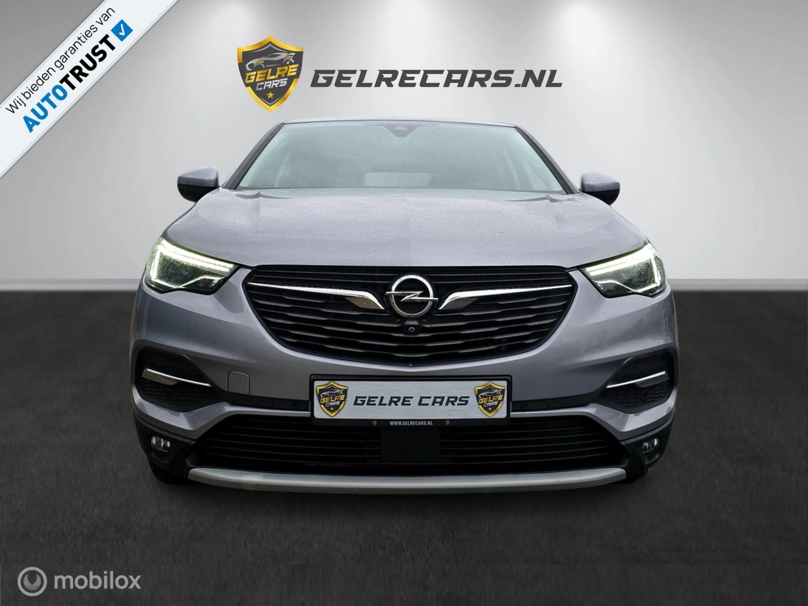Hoofdafbeelding Opel Grandland X