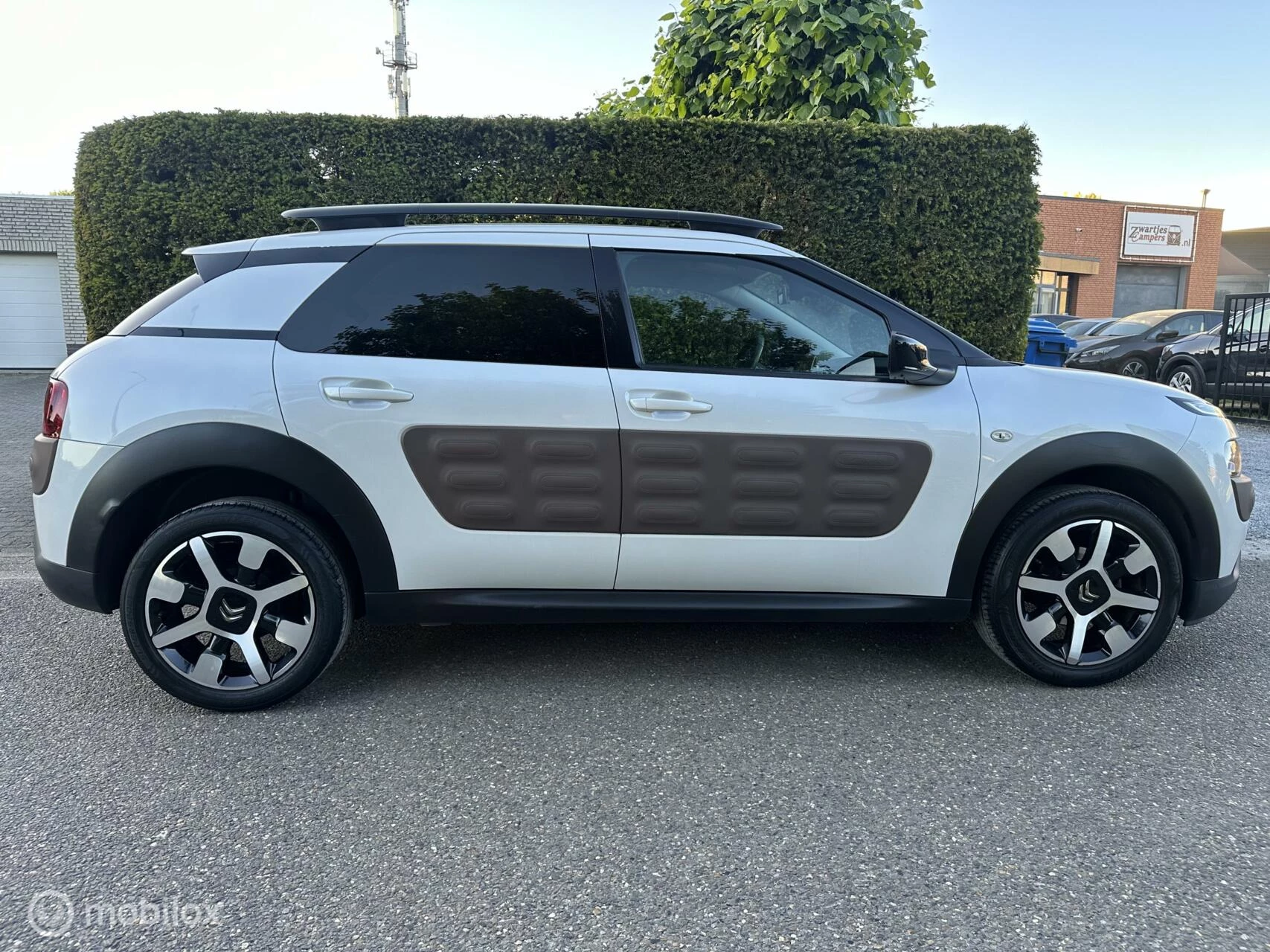Hoofdafbeelding Citroën C4 Cactus