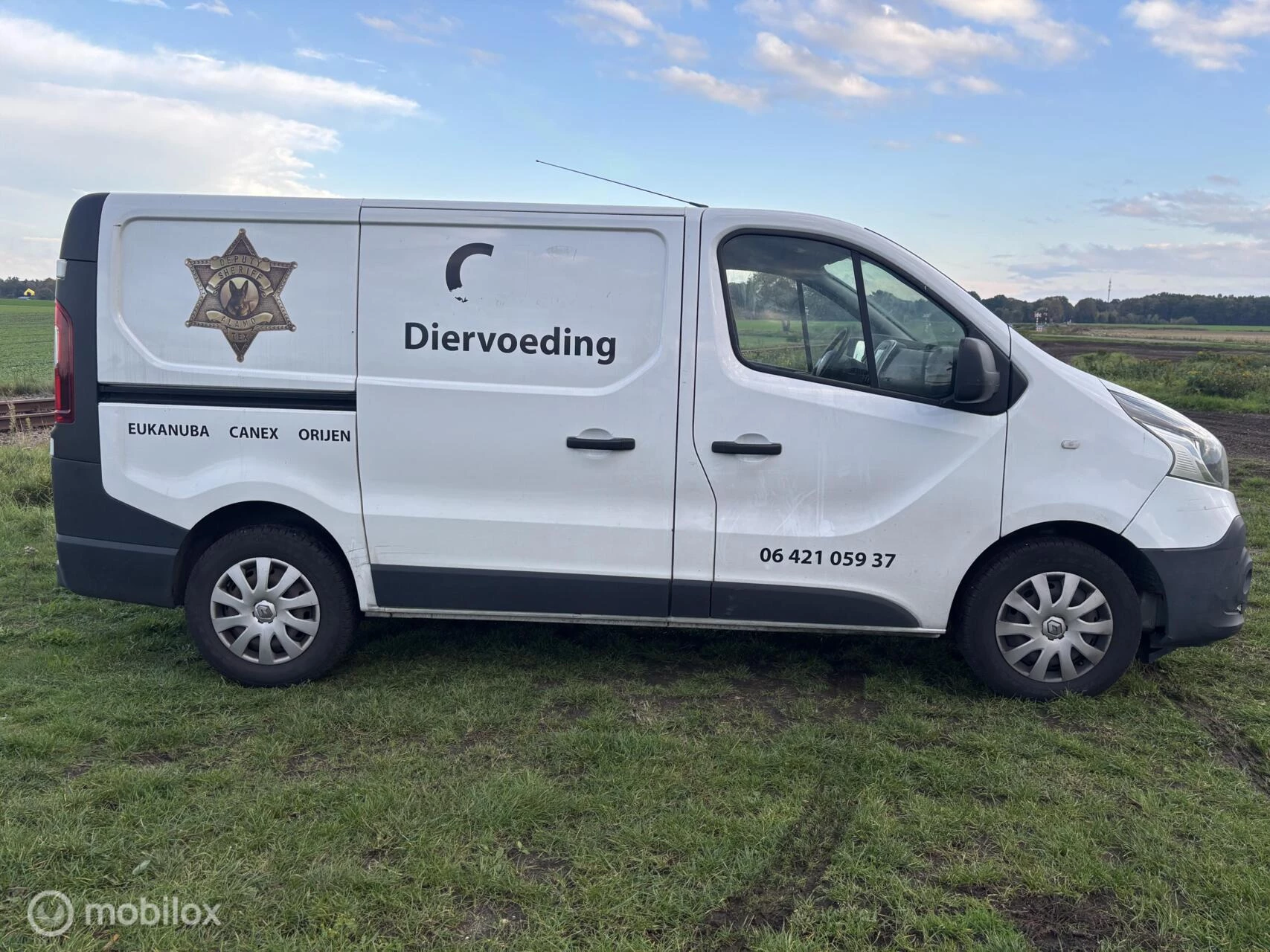 Hoofdafbeelding Renault Trafic