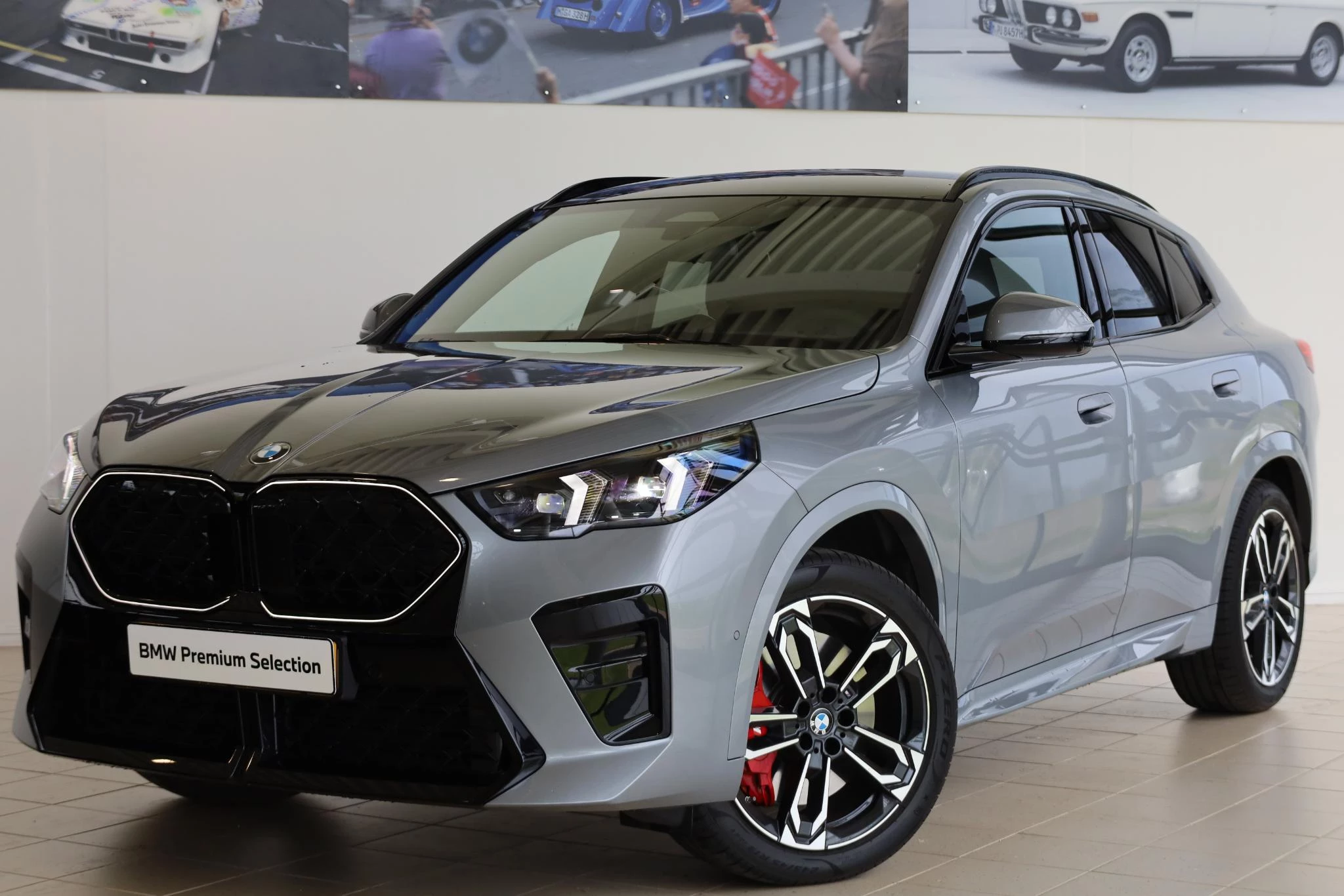 Hoofdafbeelding BMW X2