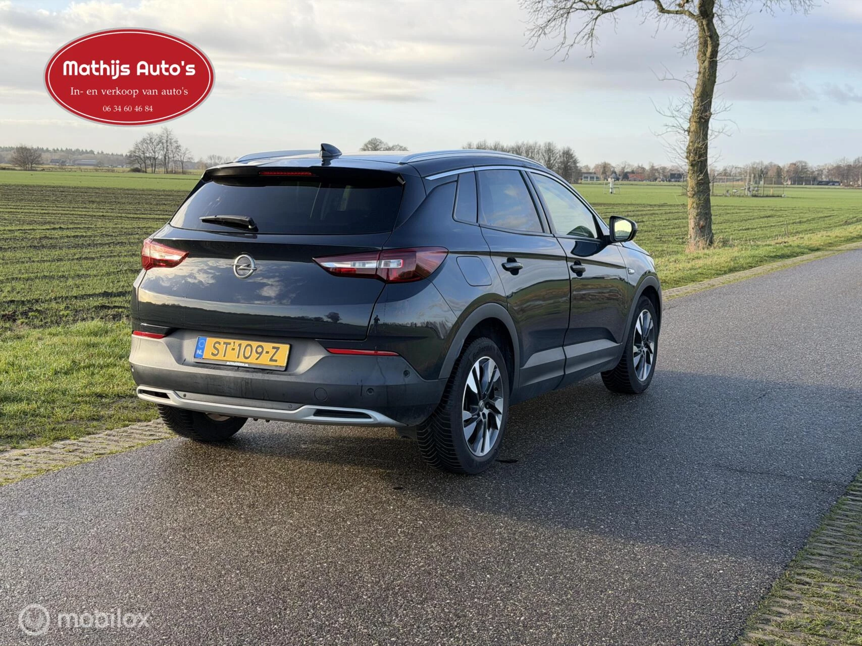 Hoofdafbeelding Opel Grandland X