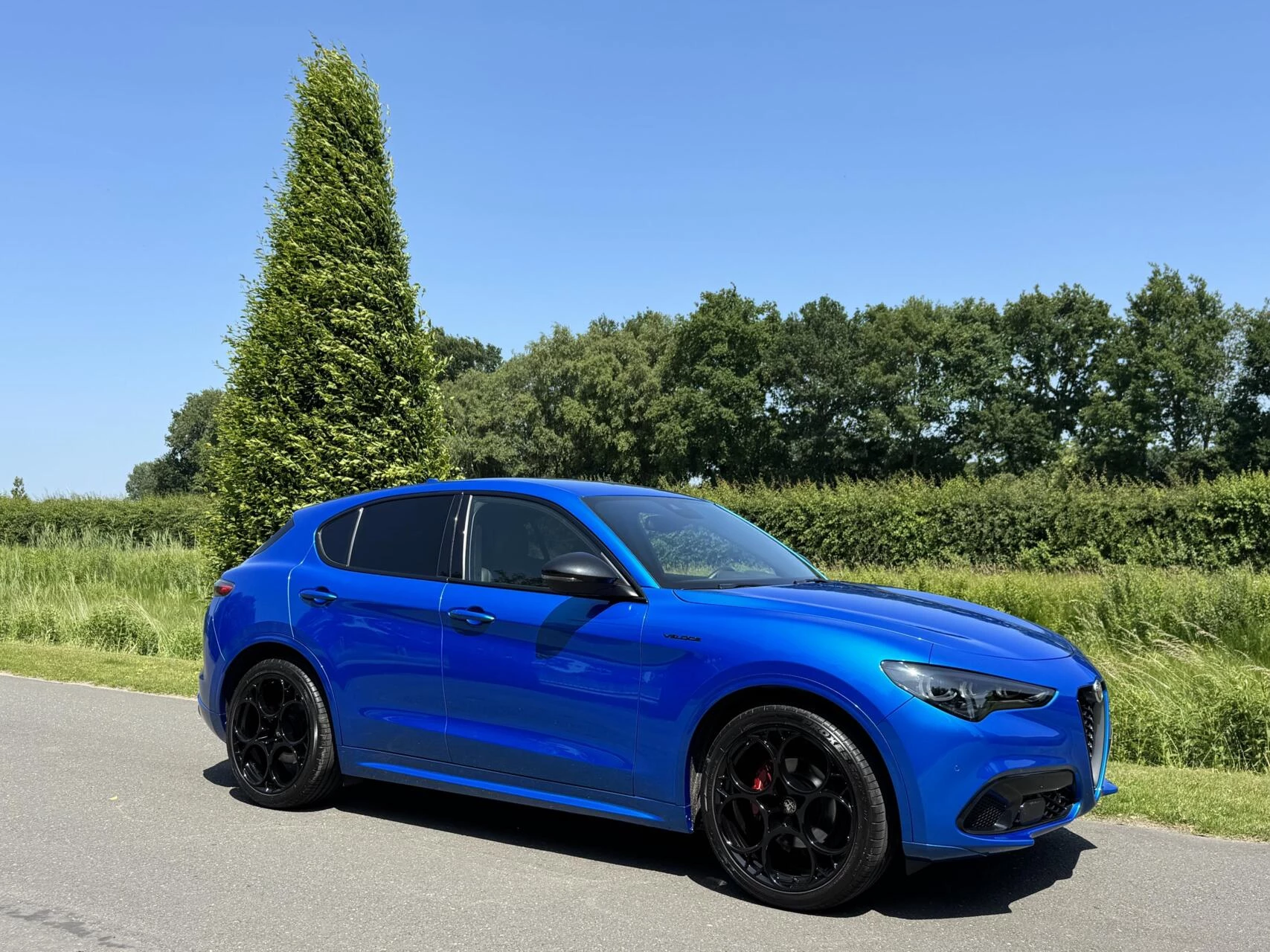 Hoofdafbeelding Alfa Romeo Stelvio